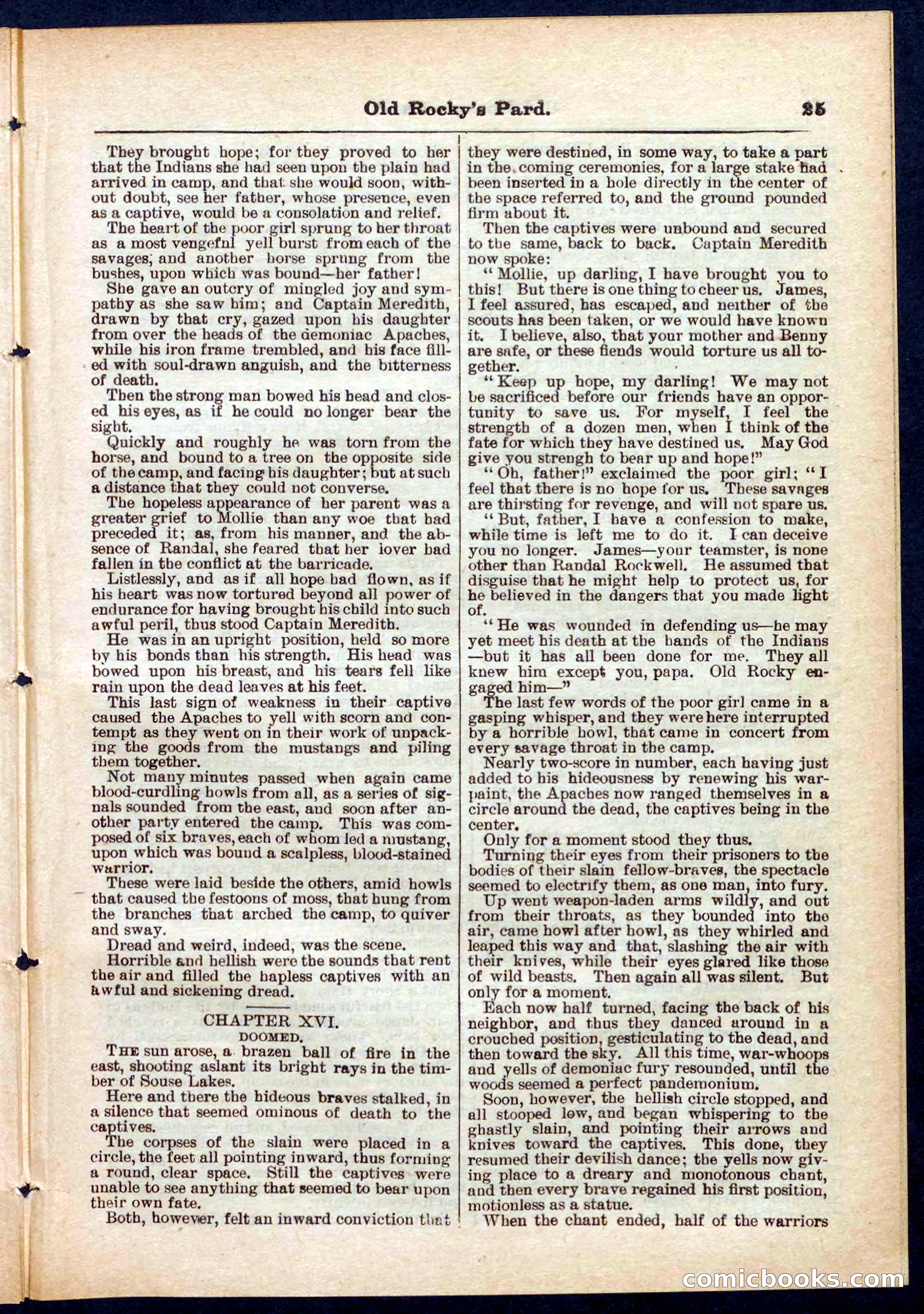 Beadle's Pocket Library No. 285 — page 25 of 32