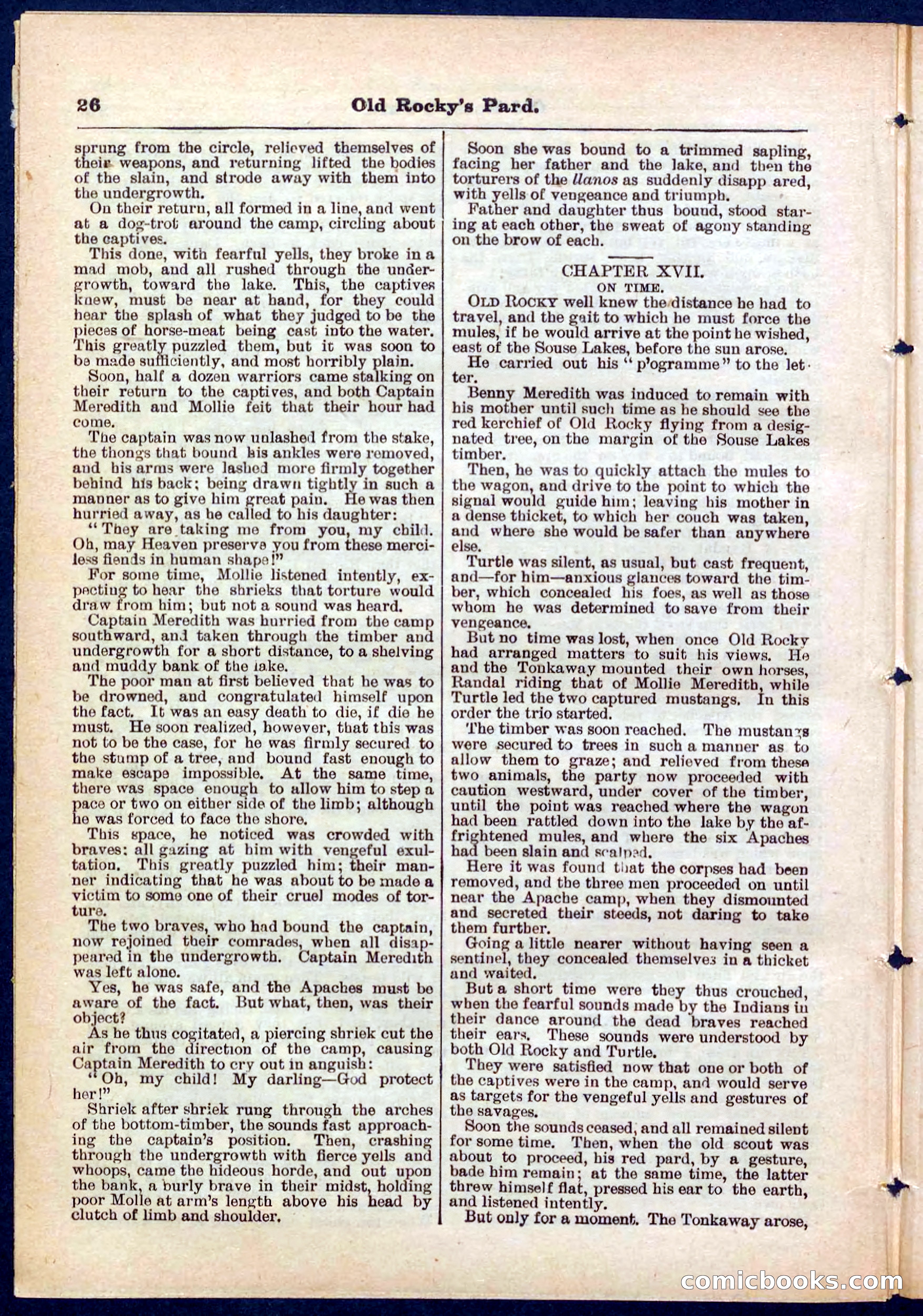 Beadle's Pocket Library No. 285 — page 26 of 32
