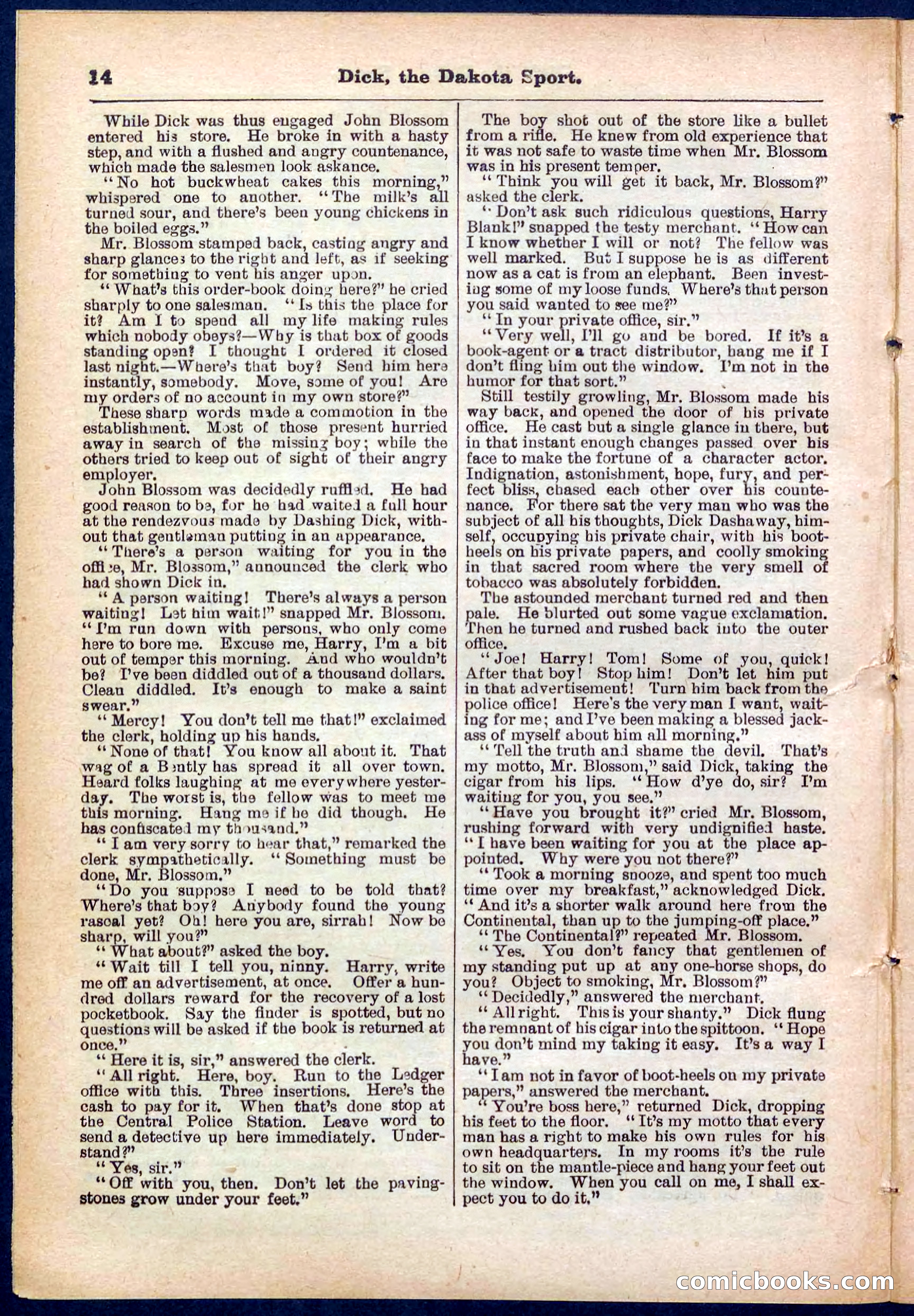 Beadle's Pocket Library No. 286 — page 14 of 32