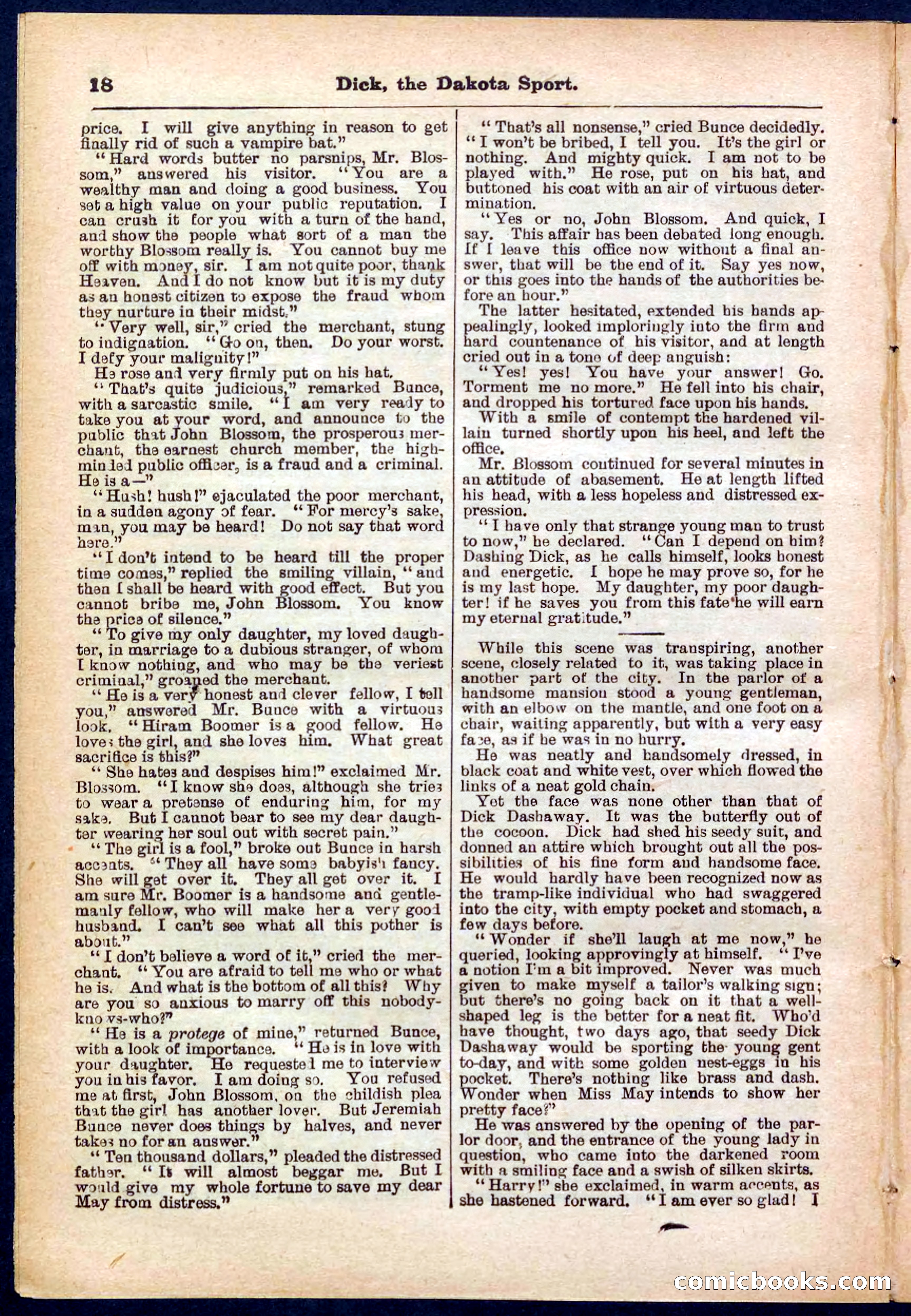 Beadle's Pocket Library No. 286 — page 18 of 32