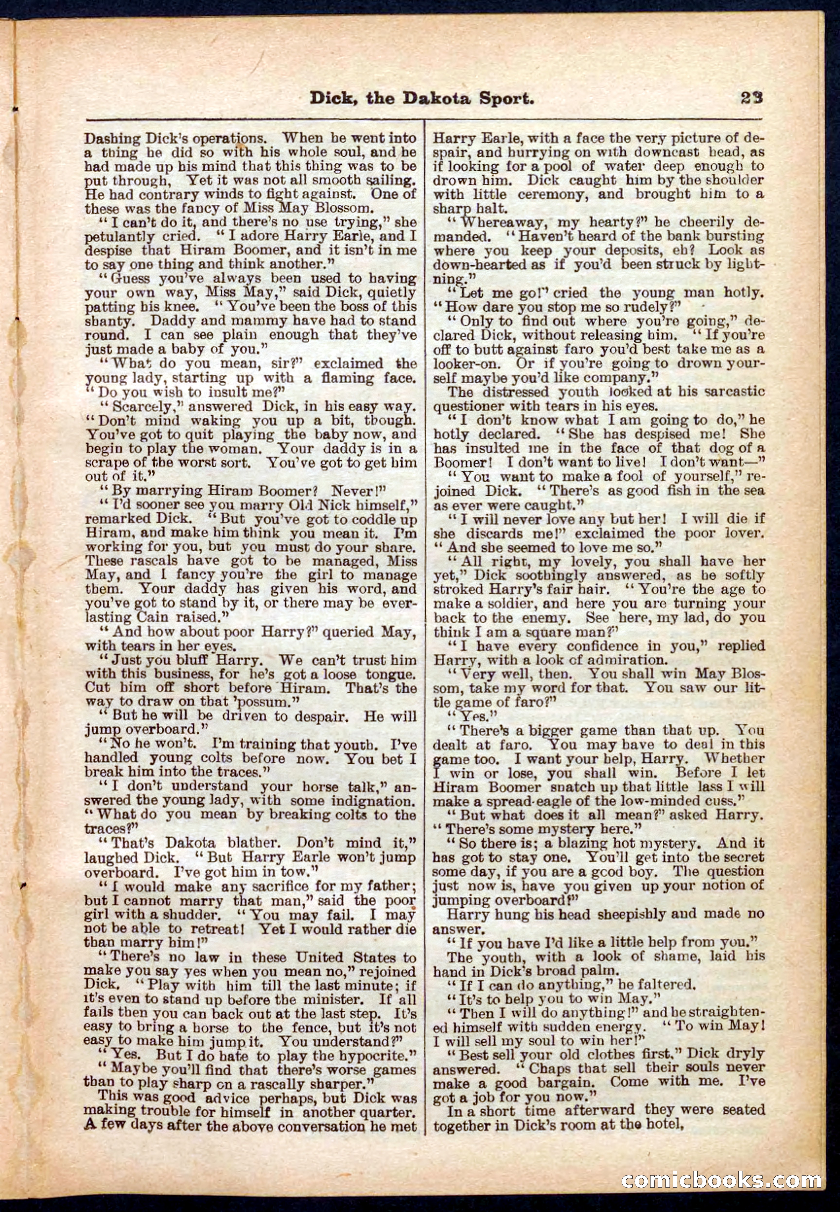 Beadle's Pocket Library No. 286 — page 23 of 32