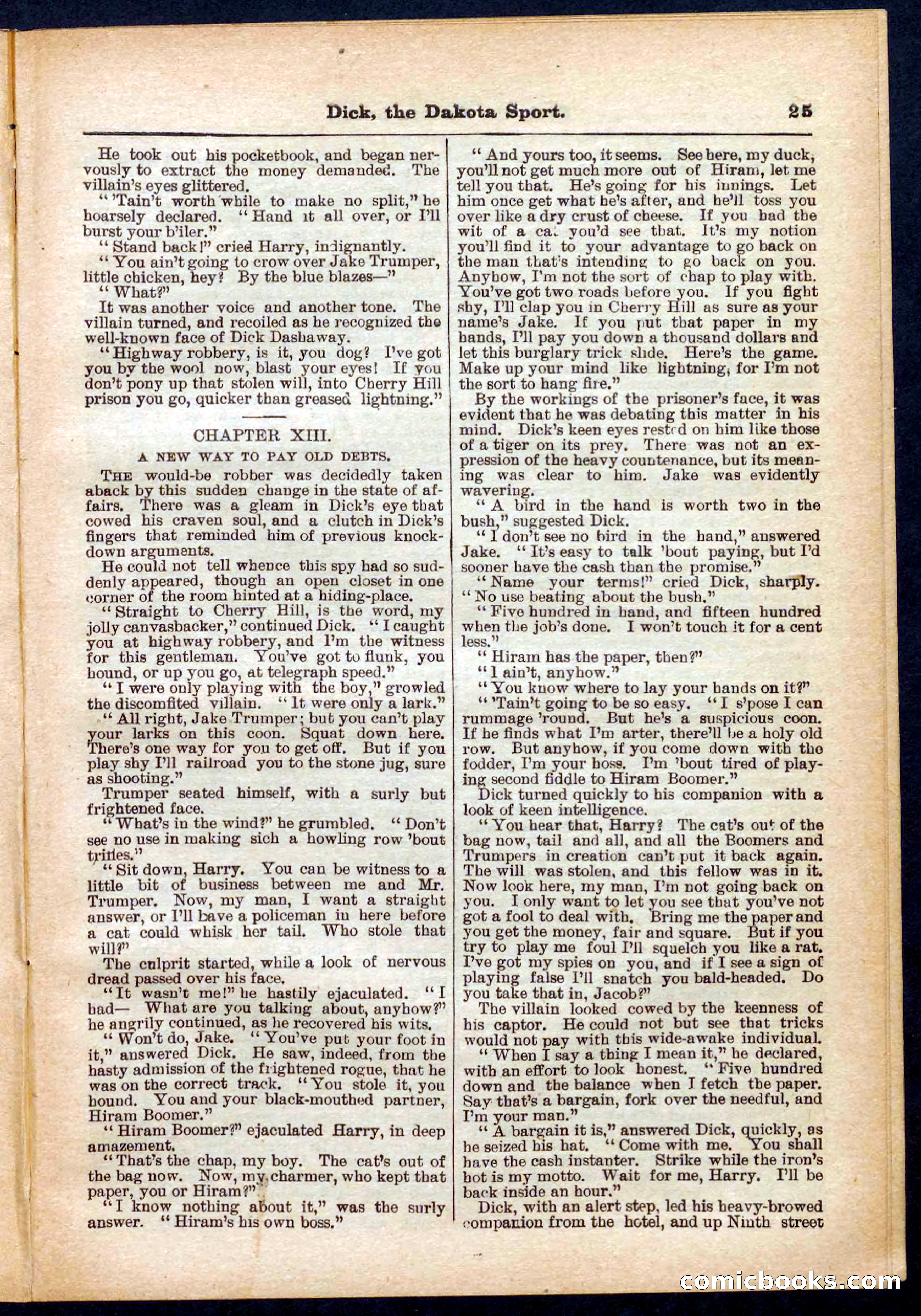 Beadle's Pocket Library No. 286 — page 25 of 32