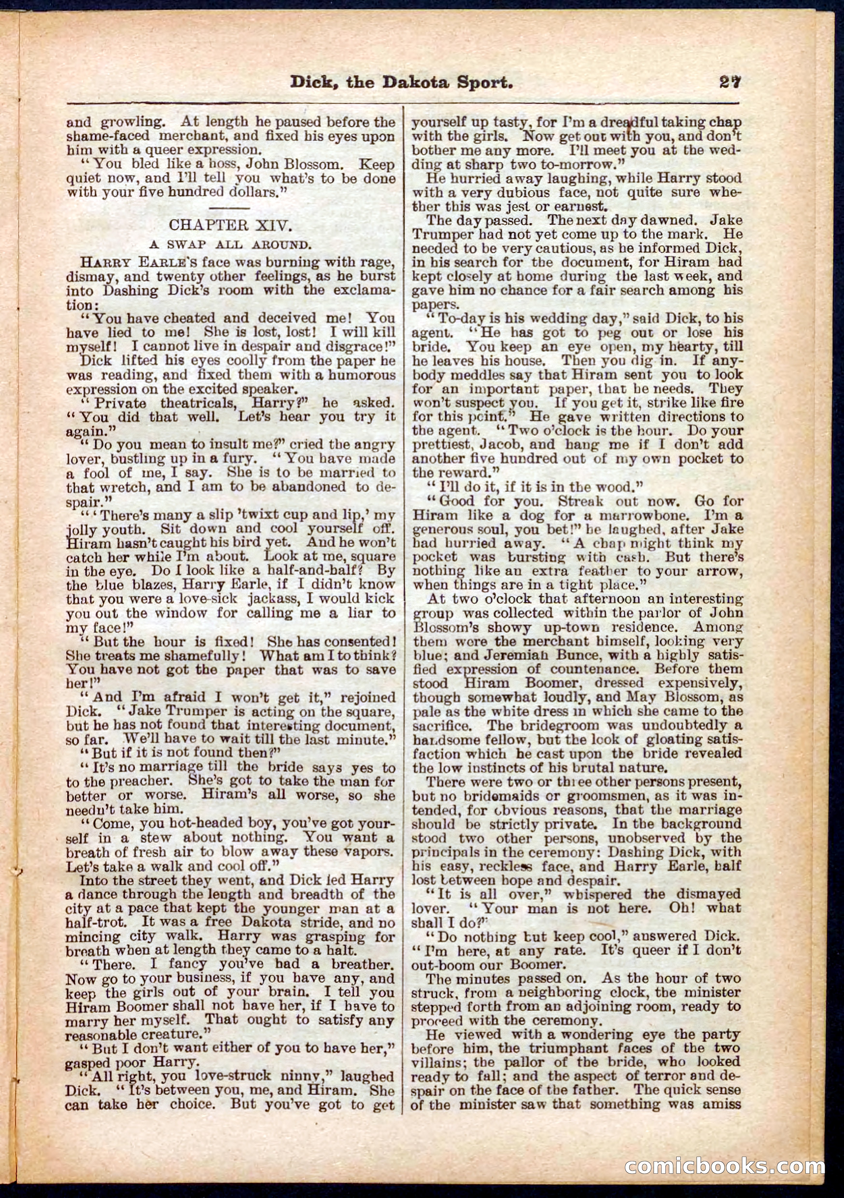 Beadle's Pocket Library No. 286 — page 27 of 32