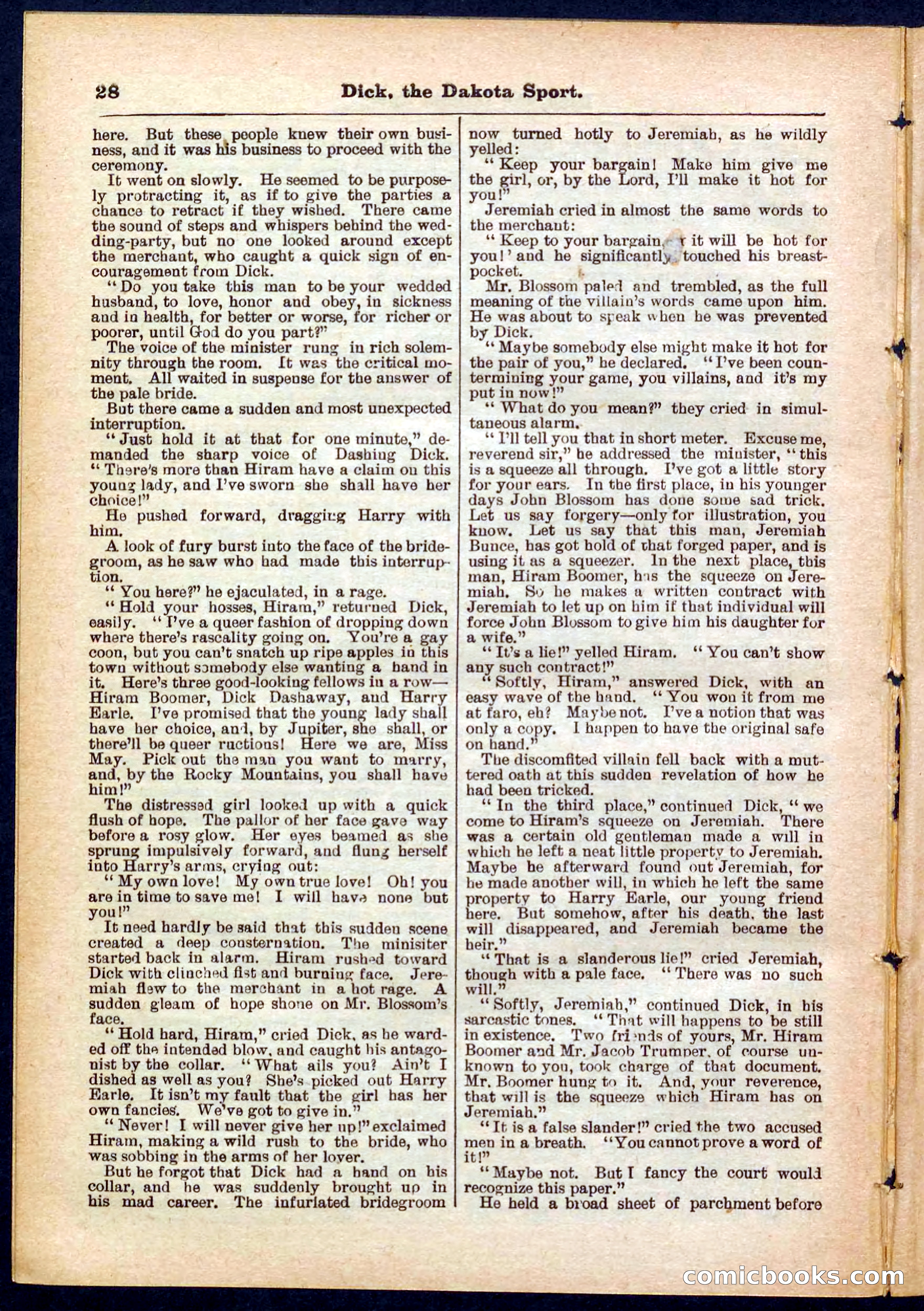 Beadle's Pocket Library No. 286 — page 28 of 32