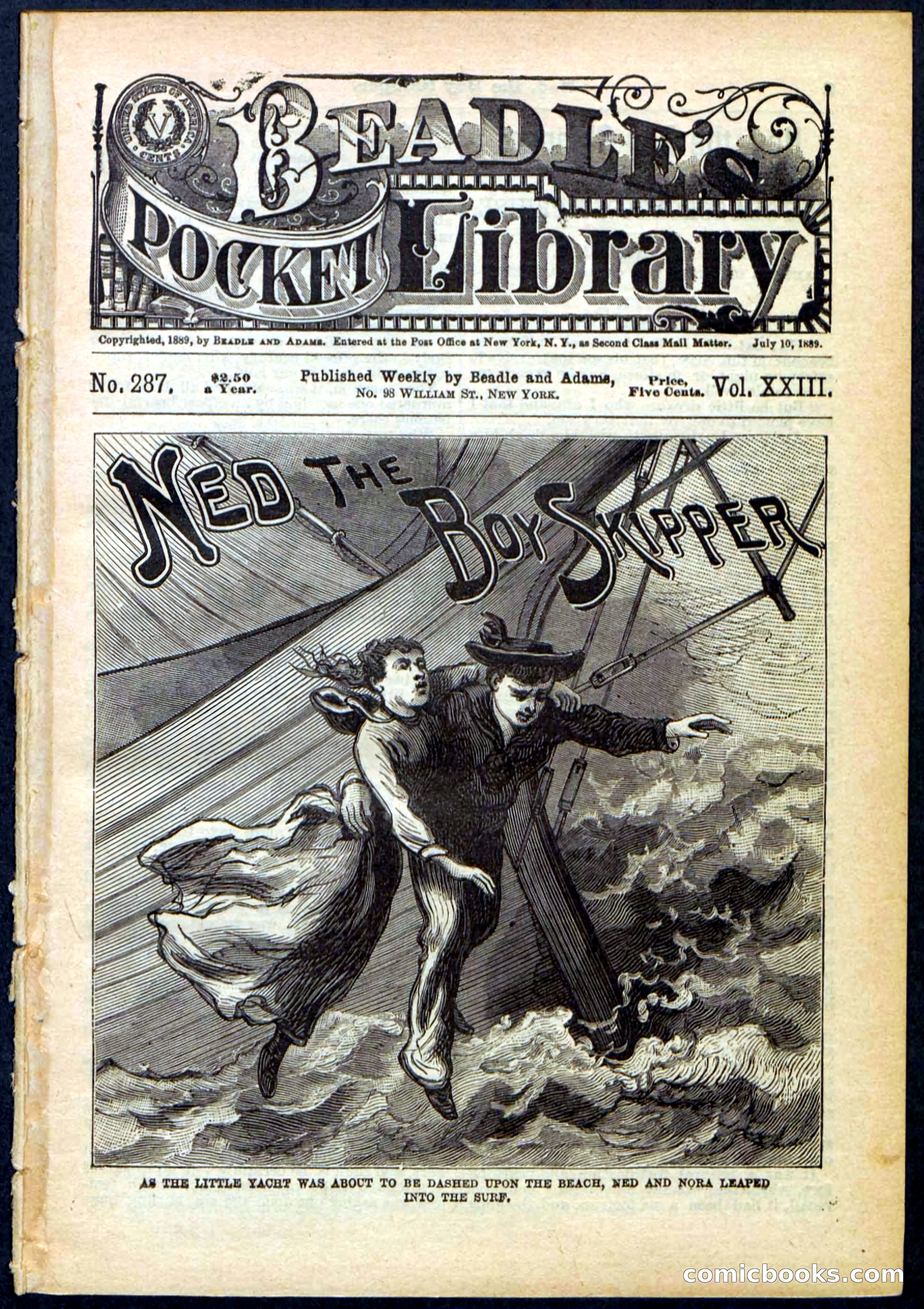 Beadle's Pocket Library No. 287 — page 1 of 32