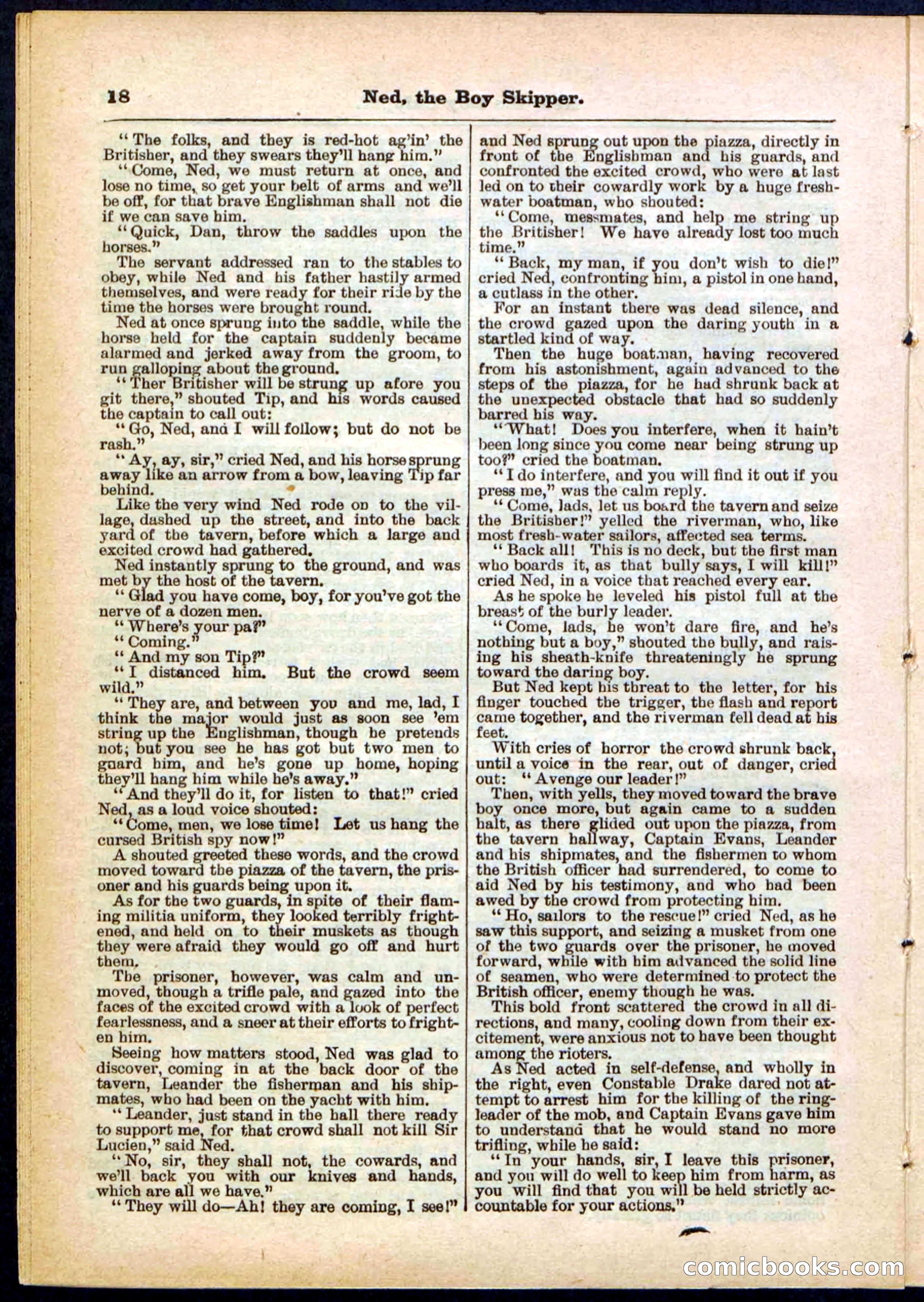 Beadle's Pocket Library No. 287 — page 18 of 32