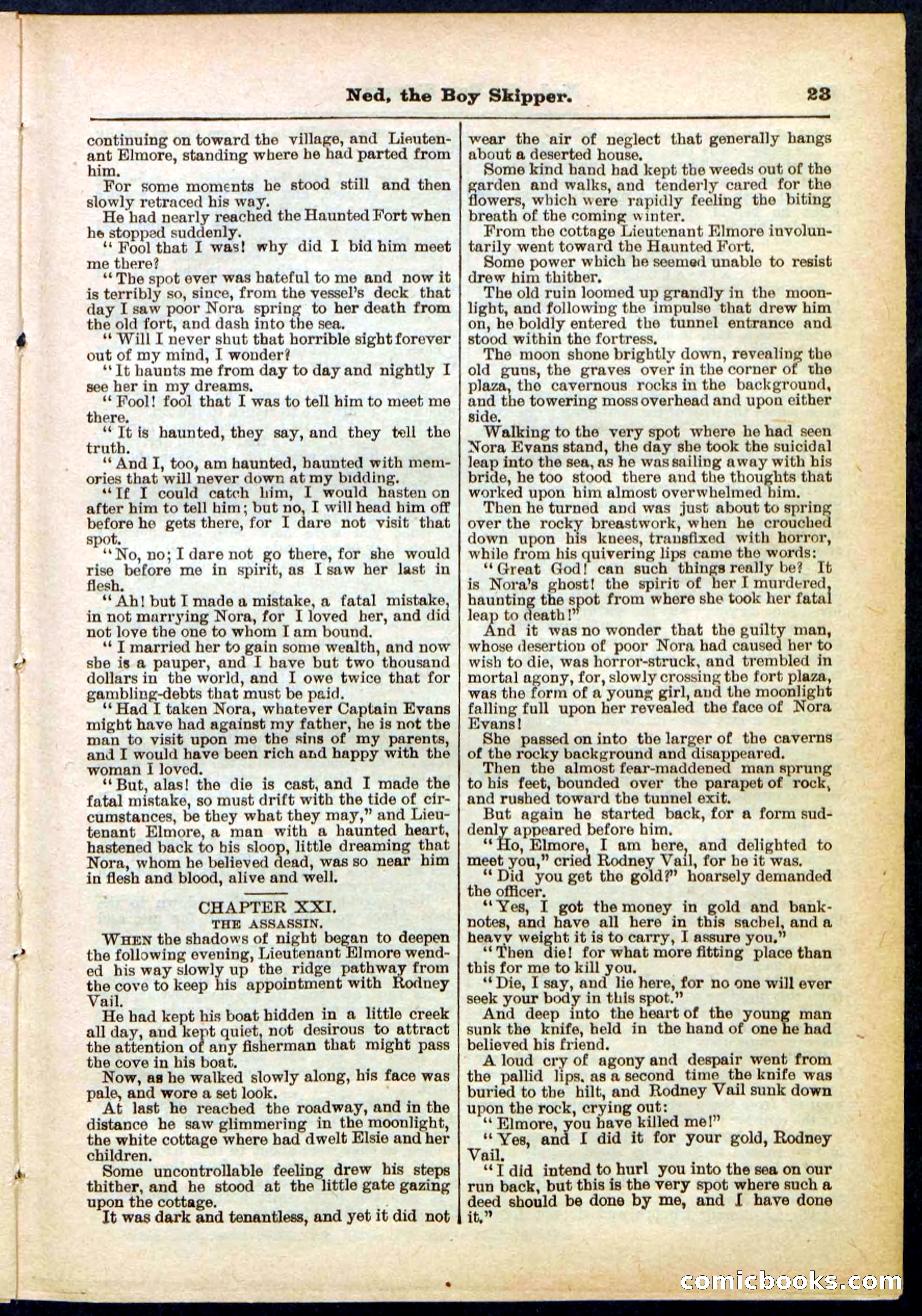 Beadle's Pocket Library No. 287 — page 23 of 32