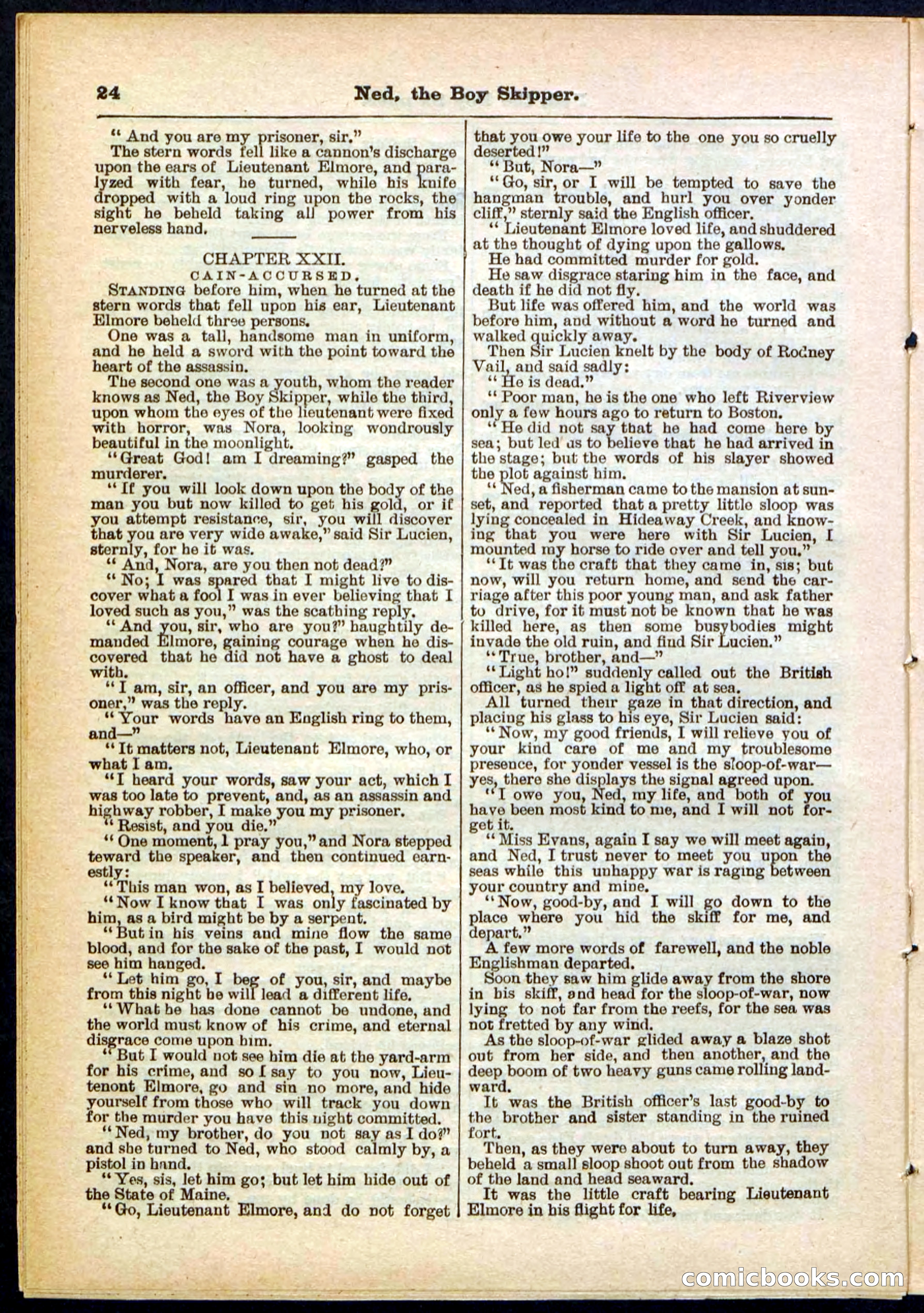 Beadle's Pocket Library No. 287 — page 24 of 32
