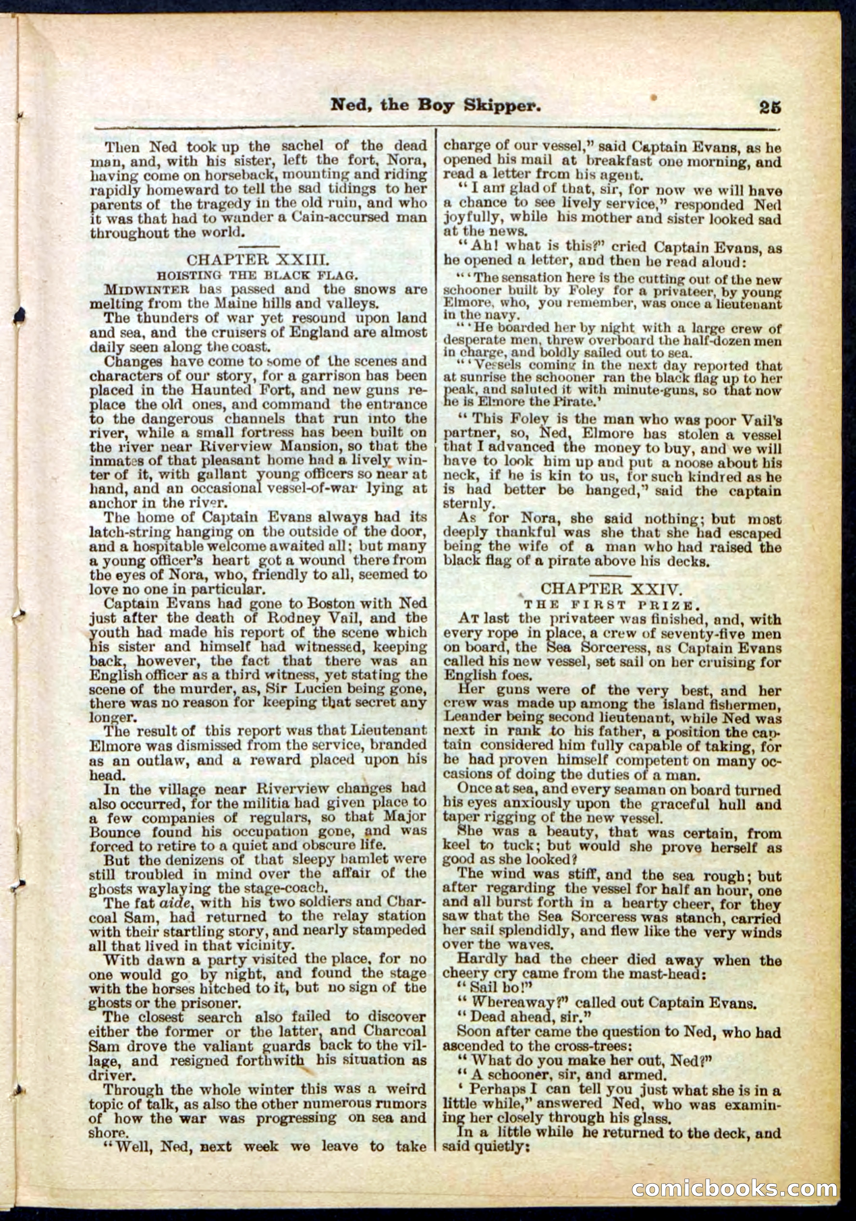 Beadle's Pocket Library No. 287 — page 25 of 32