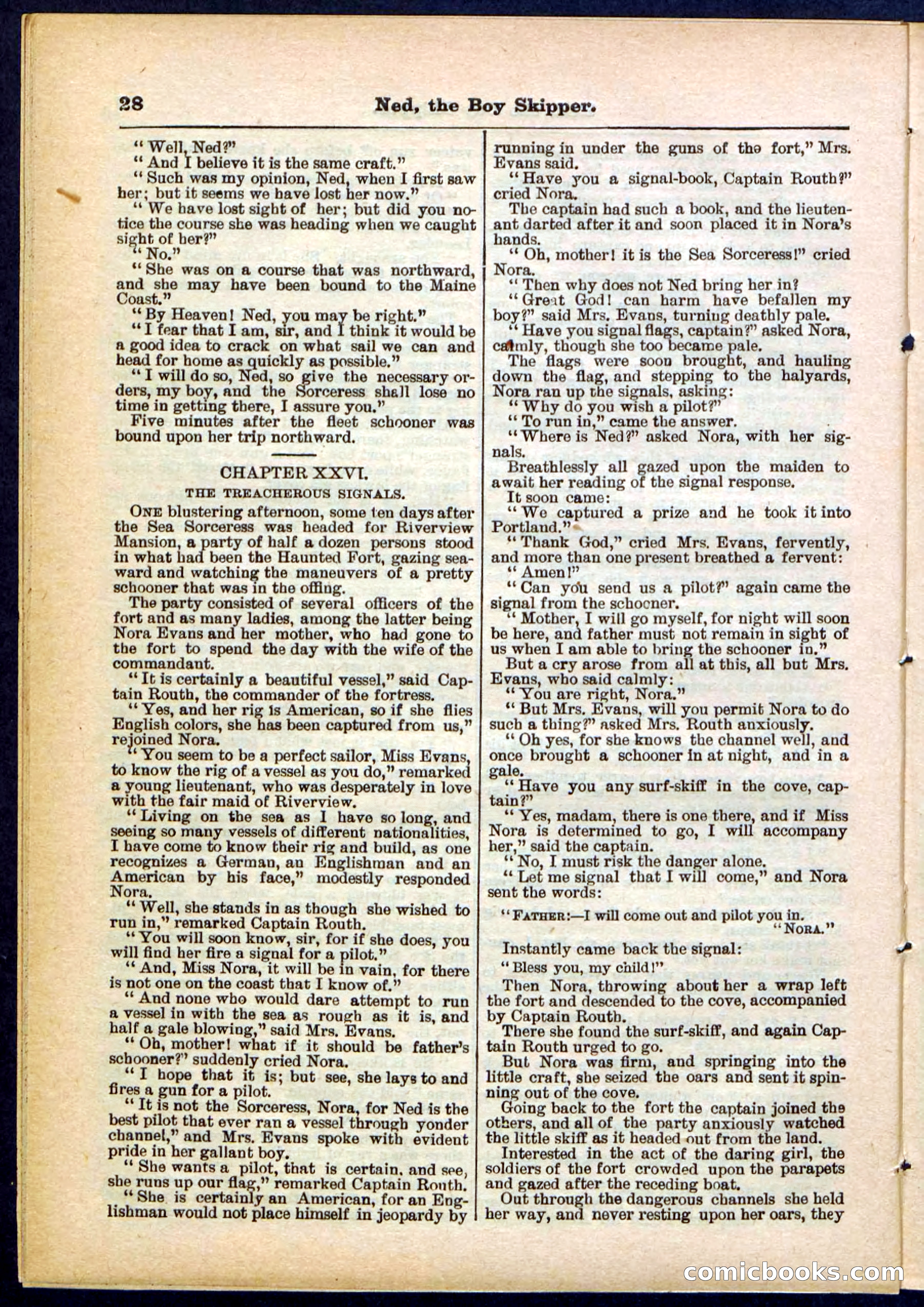 Beadle's Pocket Library No. 287 — page 28 of 32