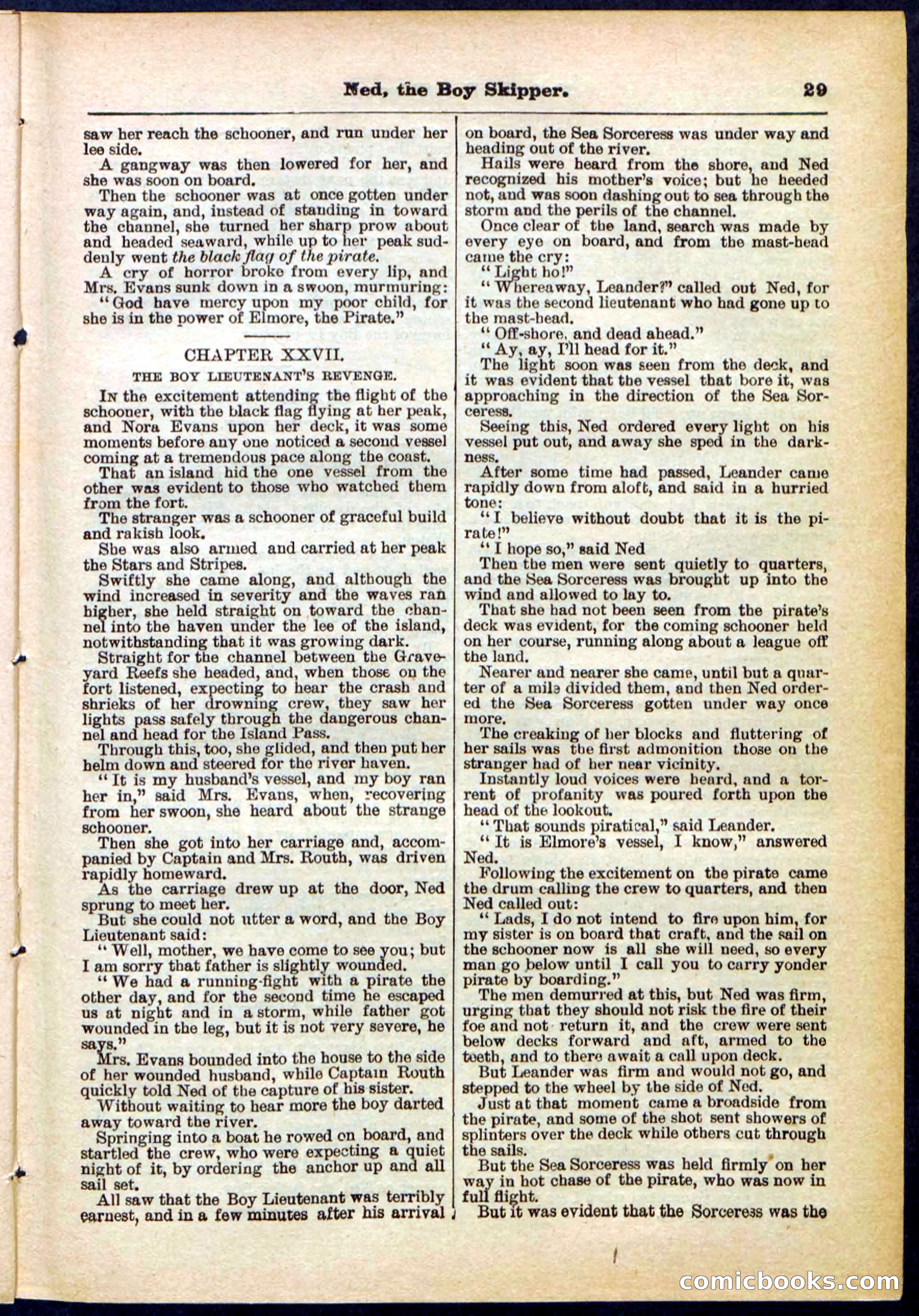 Beadle's Pocket Library No. 287 — page 29 of 32