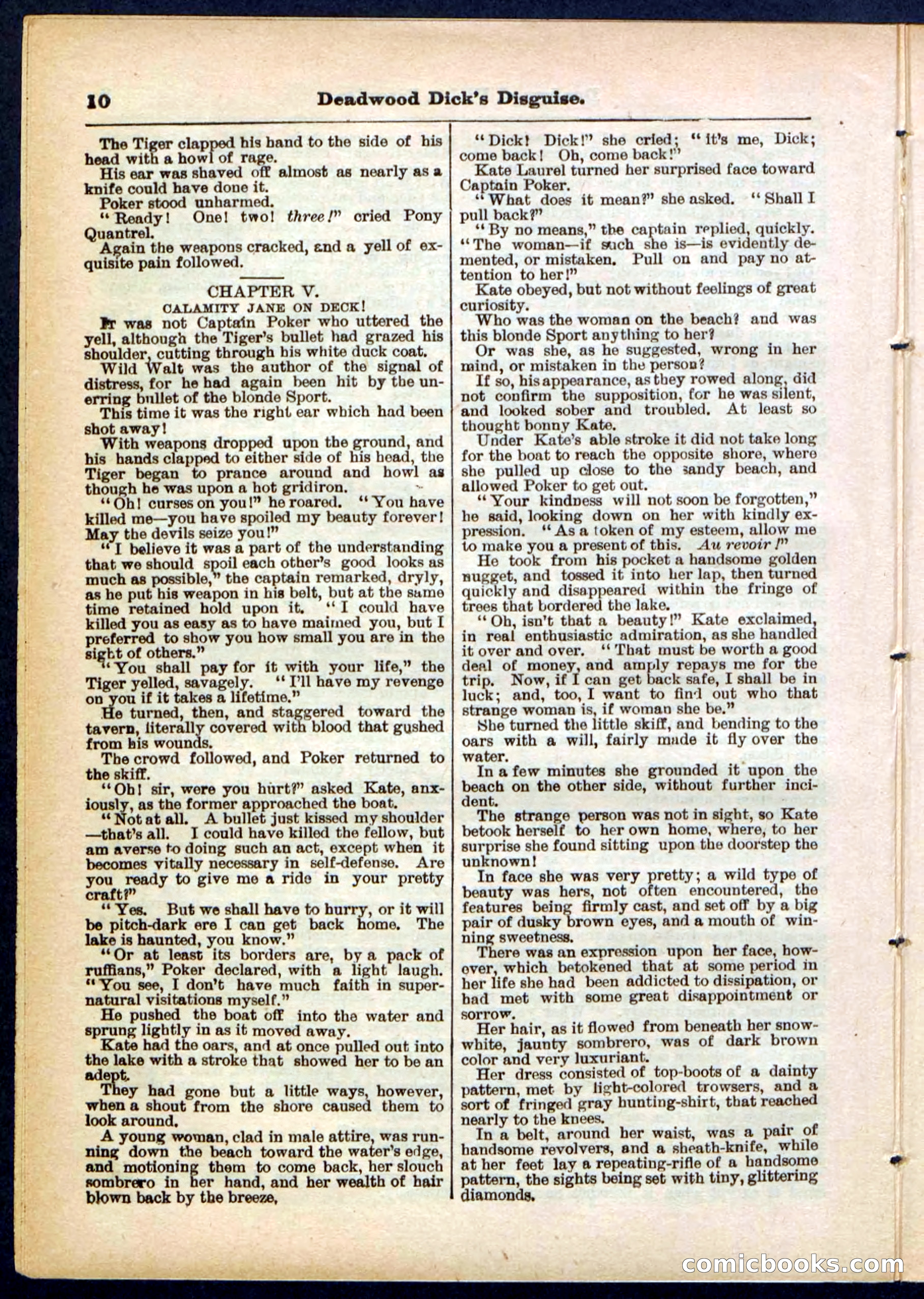 Beadle's Pocket Library No. 288 — page 10 of 32