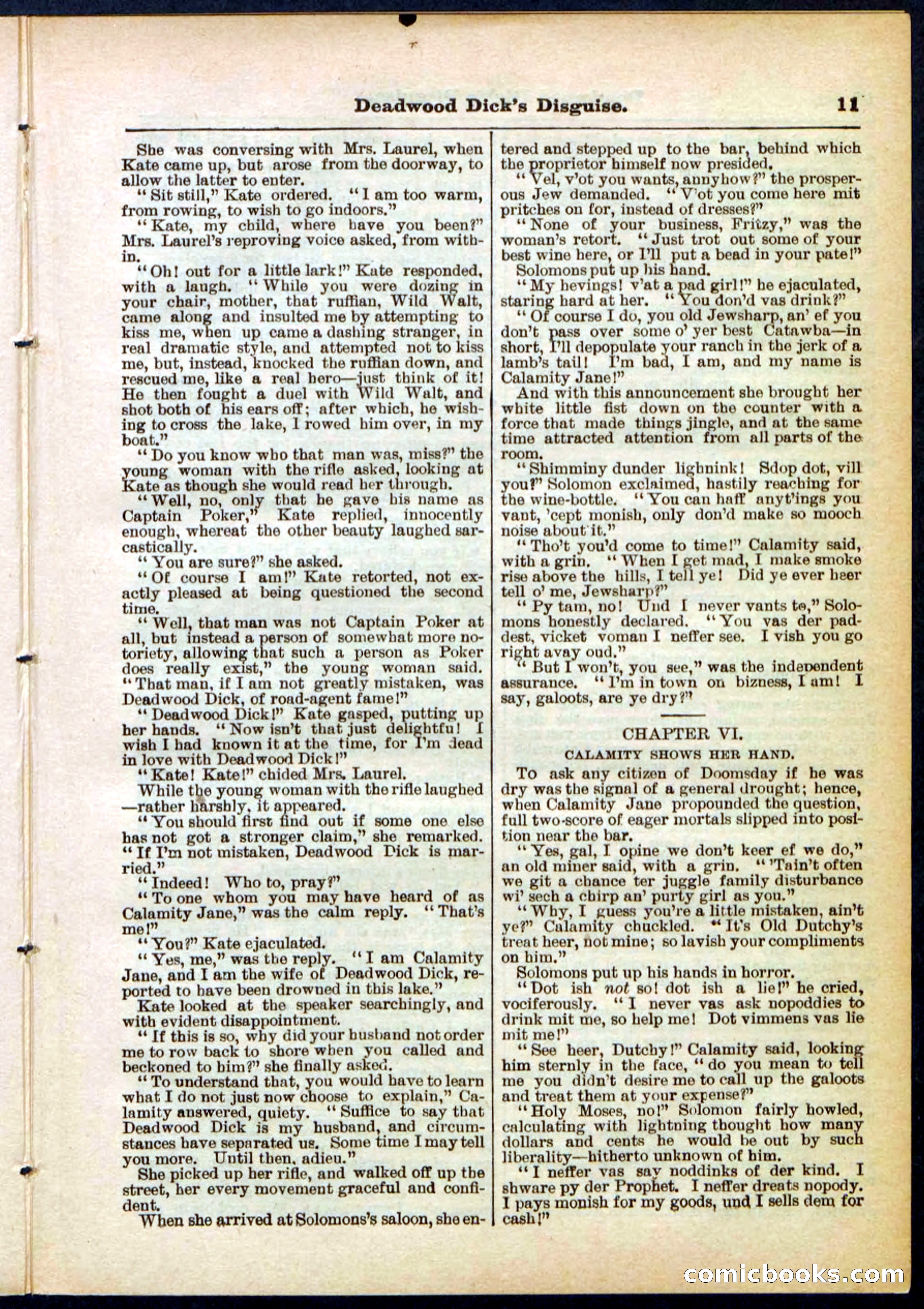 Beadle's Pocket Library No. 288 — page 11 of 32