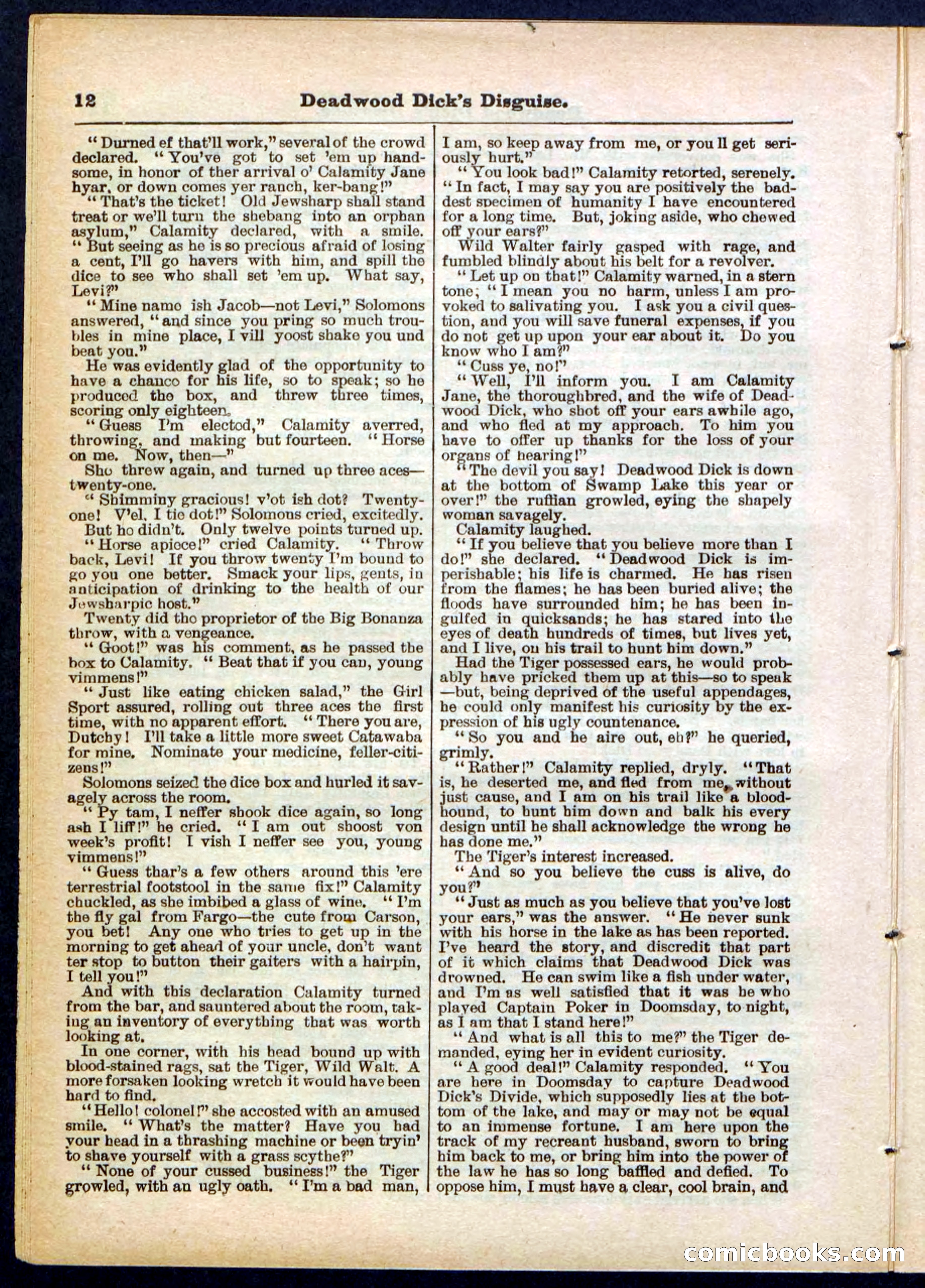 Beadle's Pocket Library No. 288 — page 12 of 32