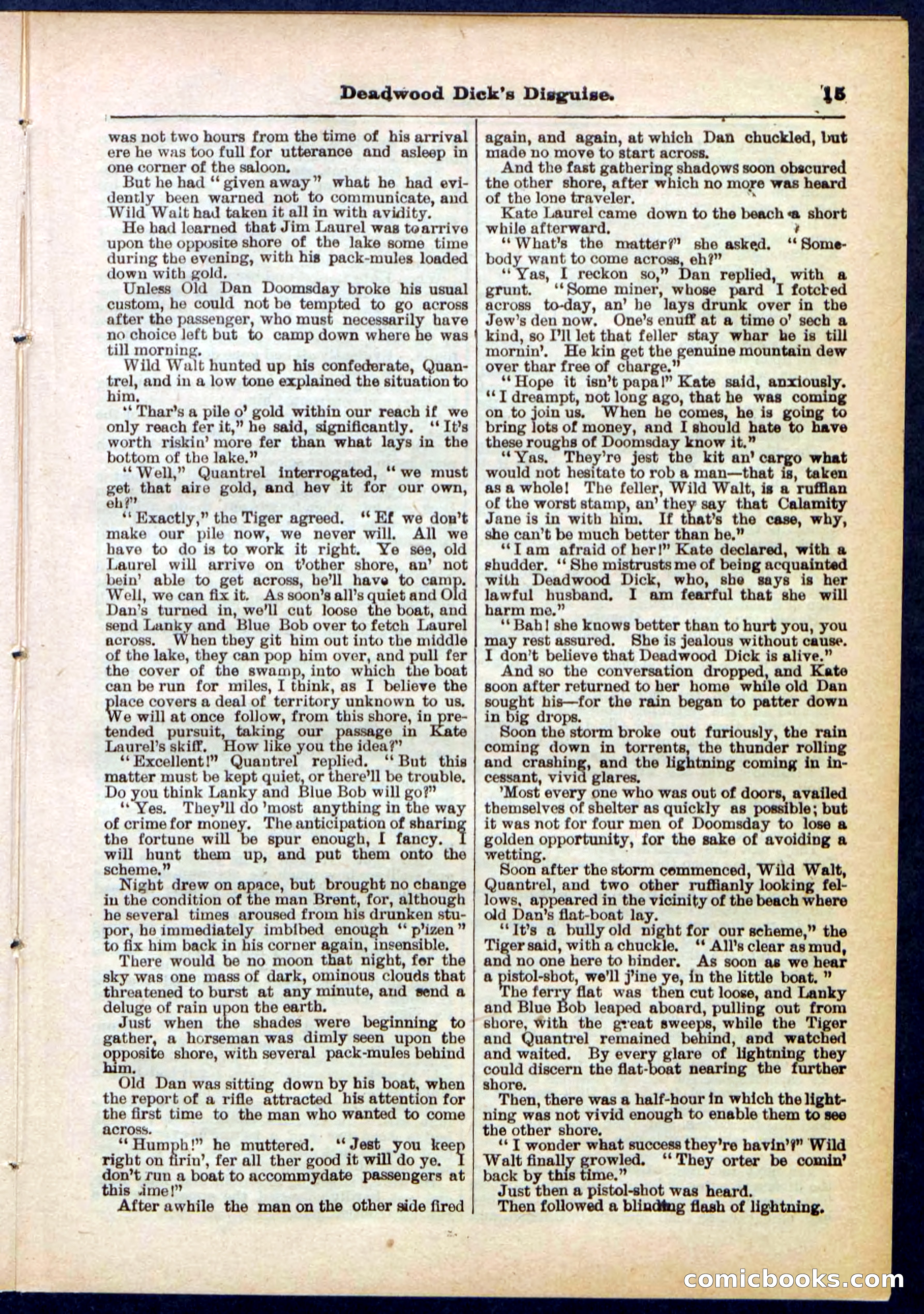 Beadle's Pocket Library No. 288 — page 15 of 32