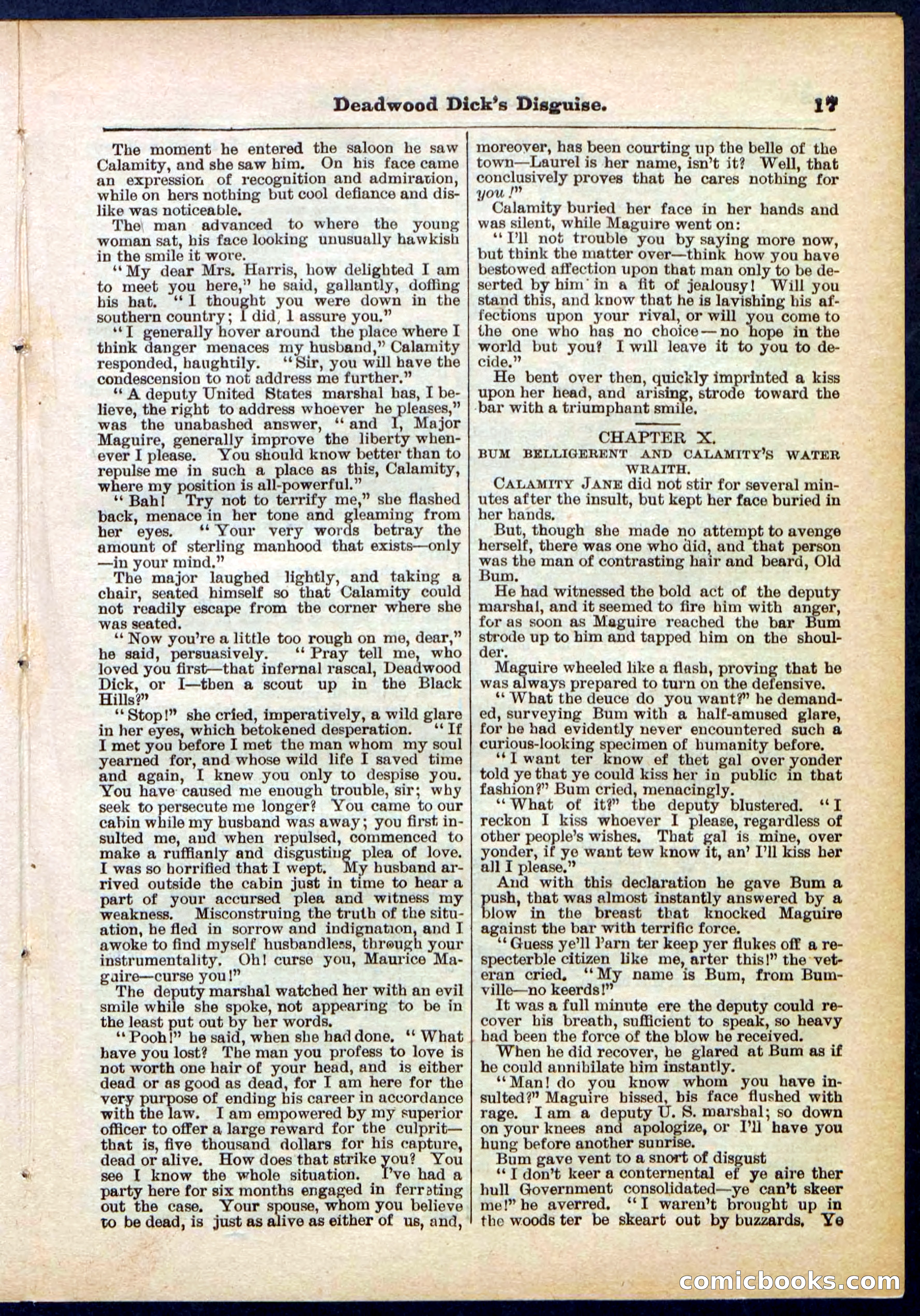 Beadle's Pocket Library No. 288 — page 17 of 32