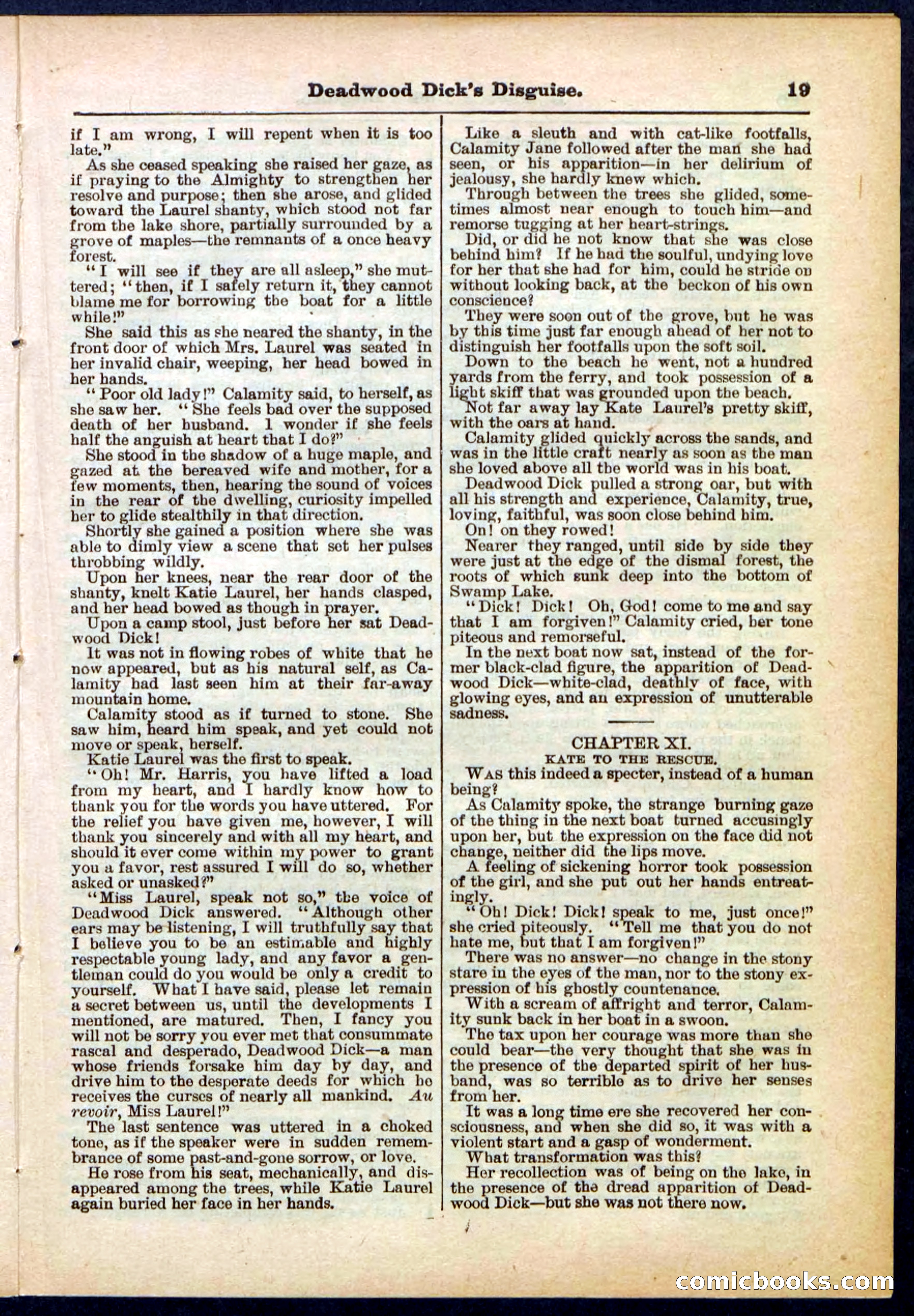 Beadle's Pocket Library No. 288 — page 19 of 32