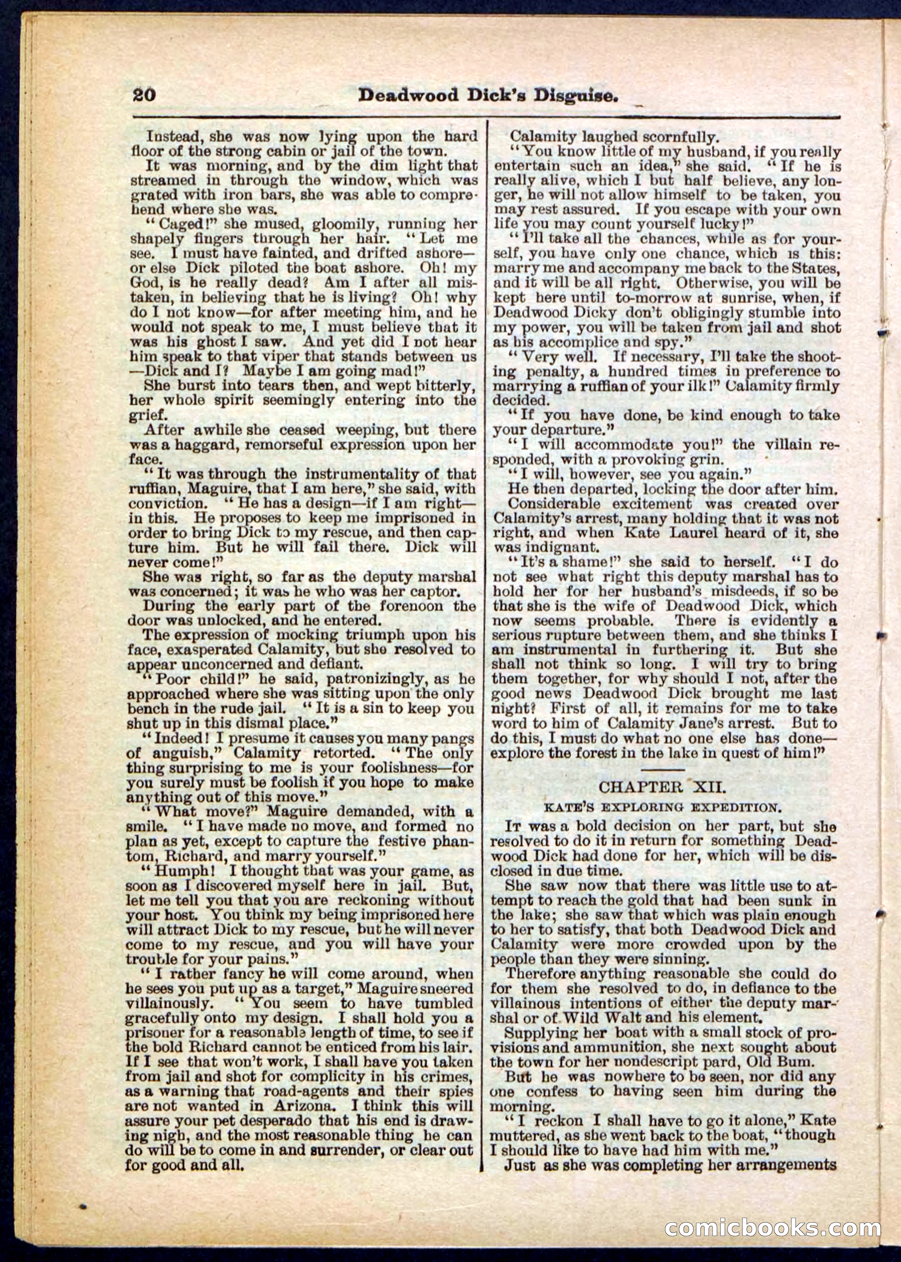 Beadle's Pocket Library No. 288 — page 20 of 32