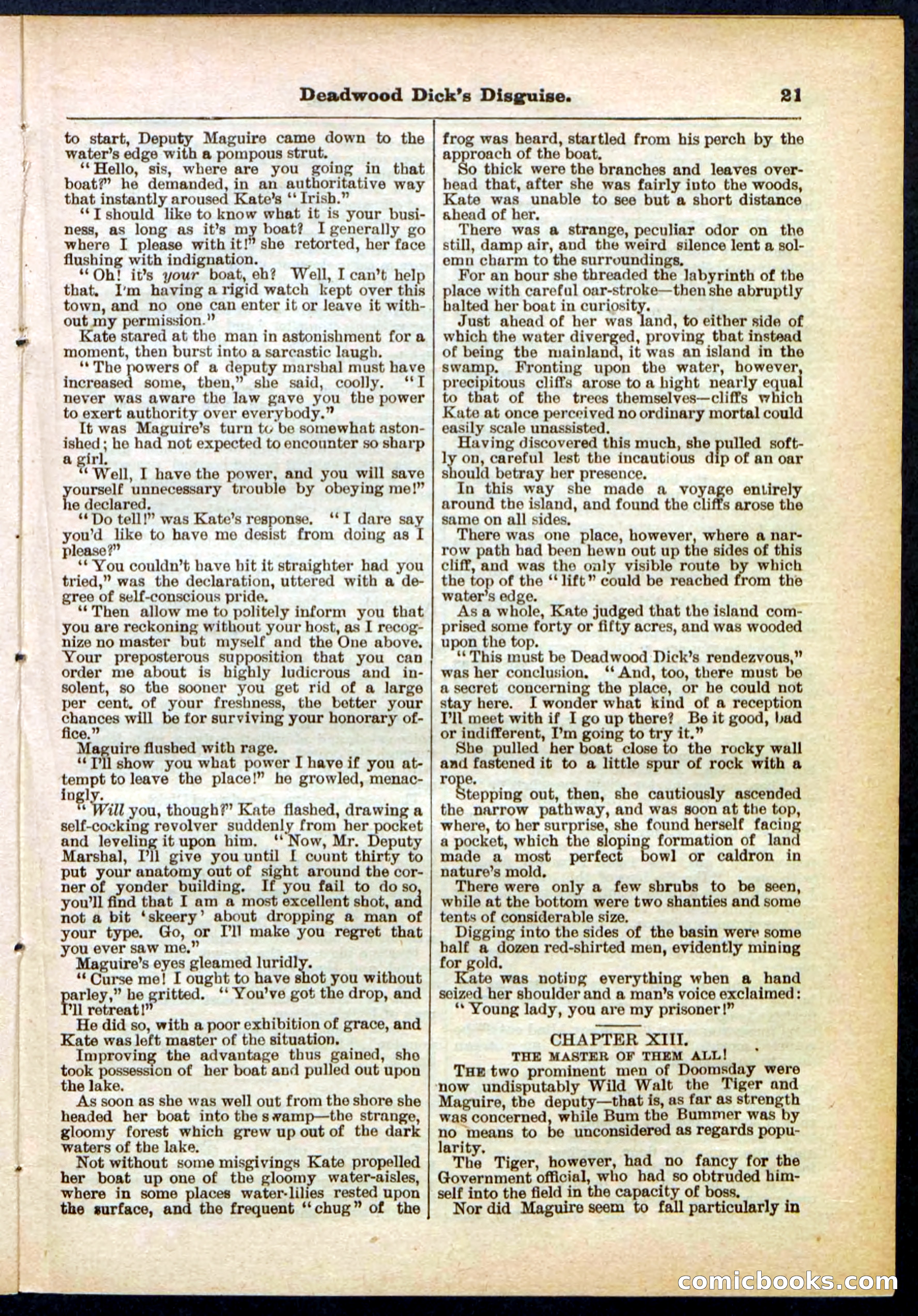 Beadle's Pocket Library No. 288 — page 21 of 32