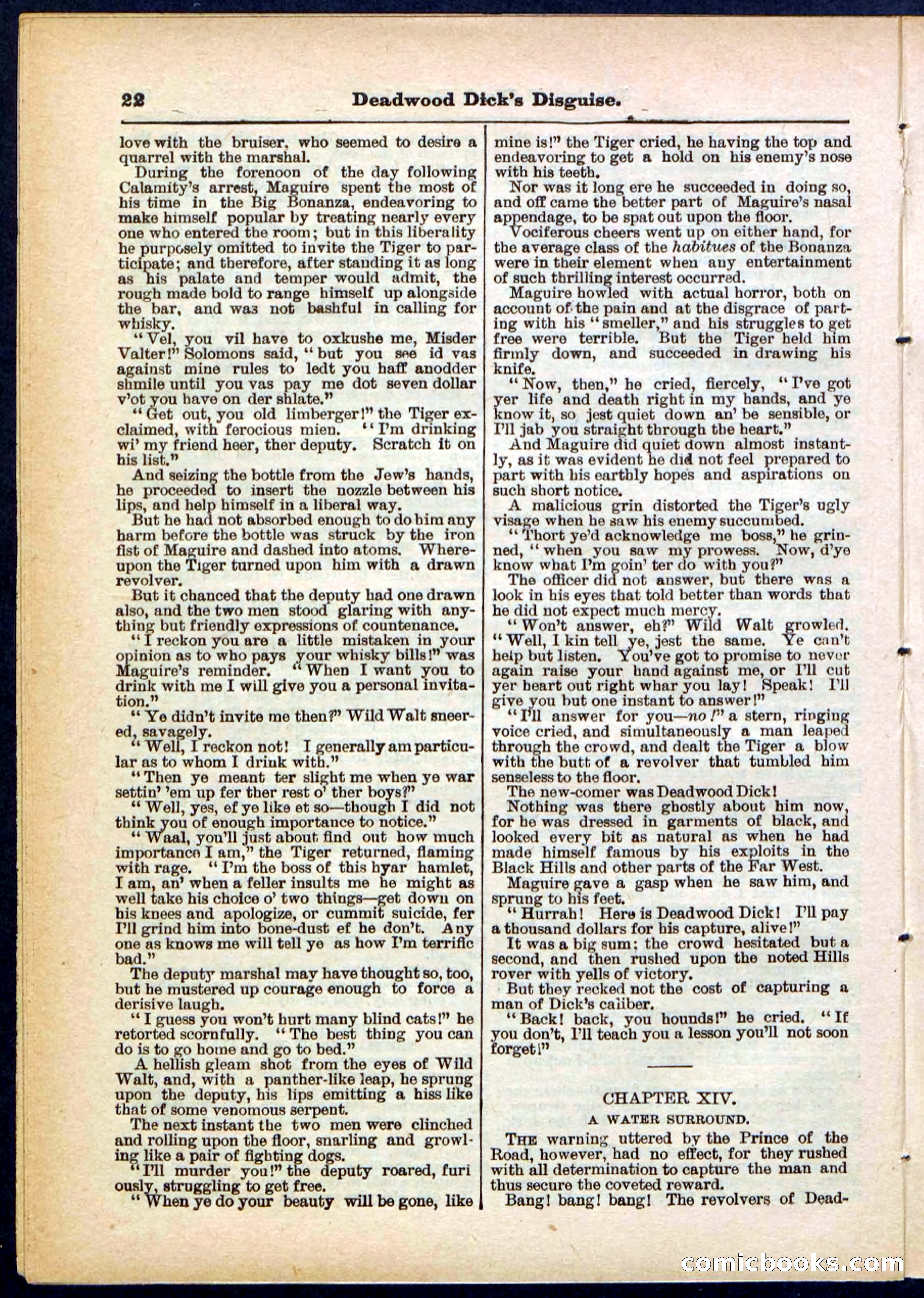 Beadle's Pocket Library No. 288 — page 22 of 32