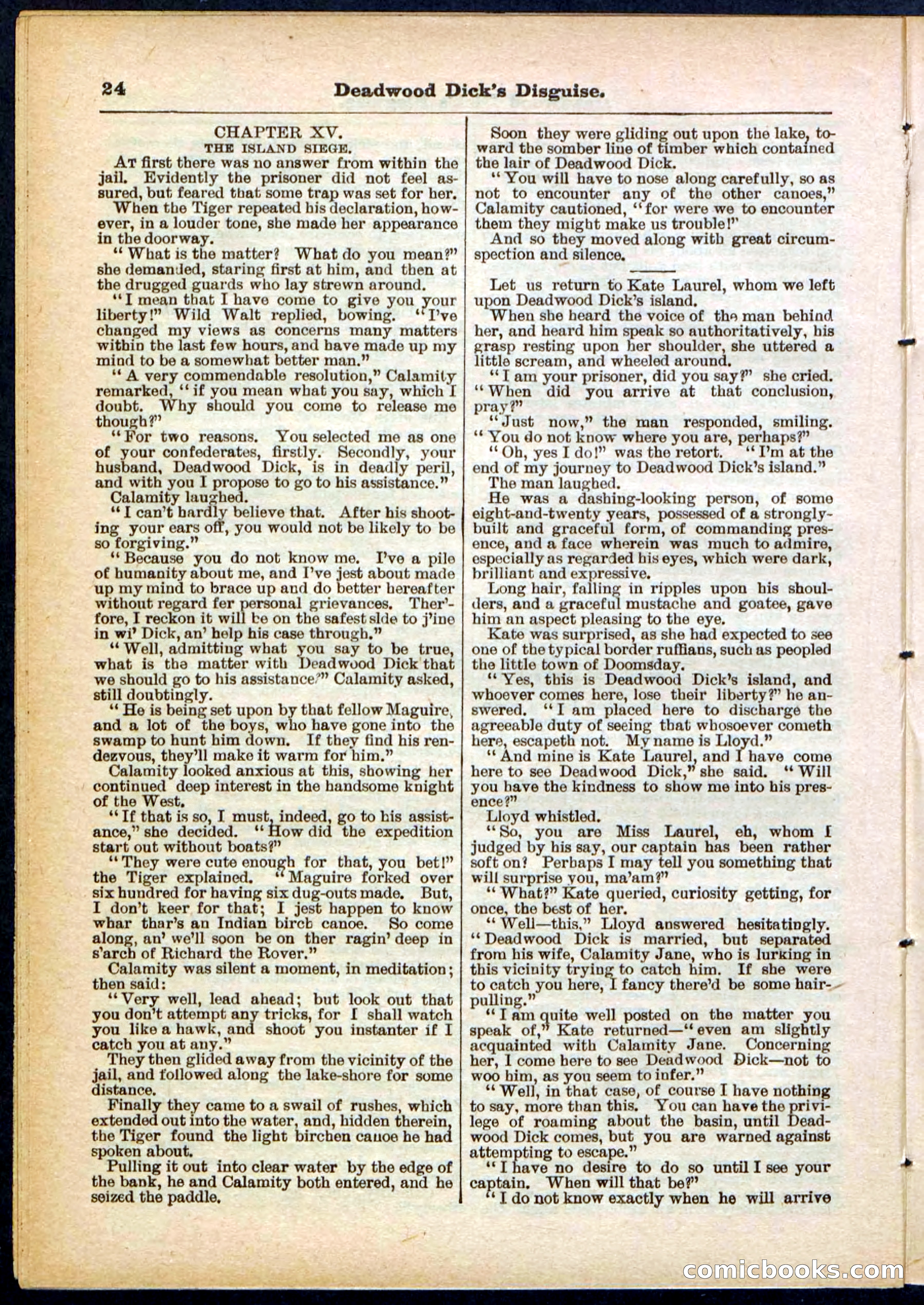 Beadle's Pocket Library No. 288 — page 24 of 32