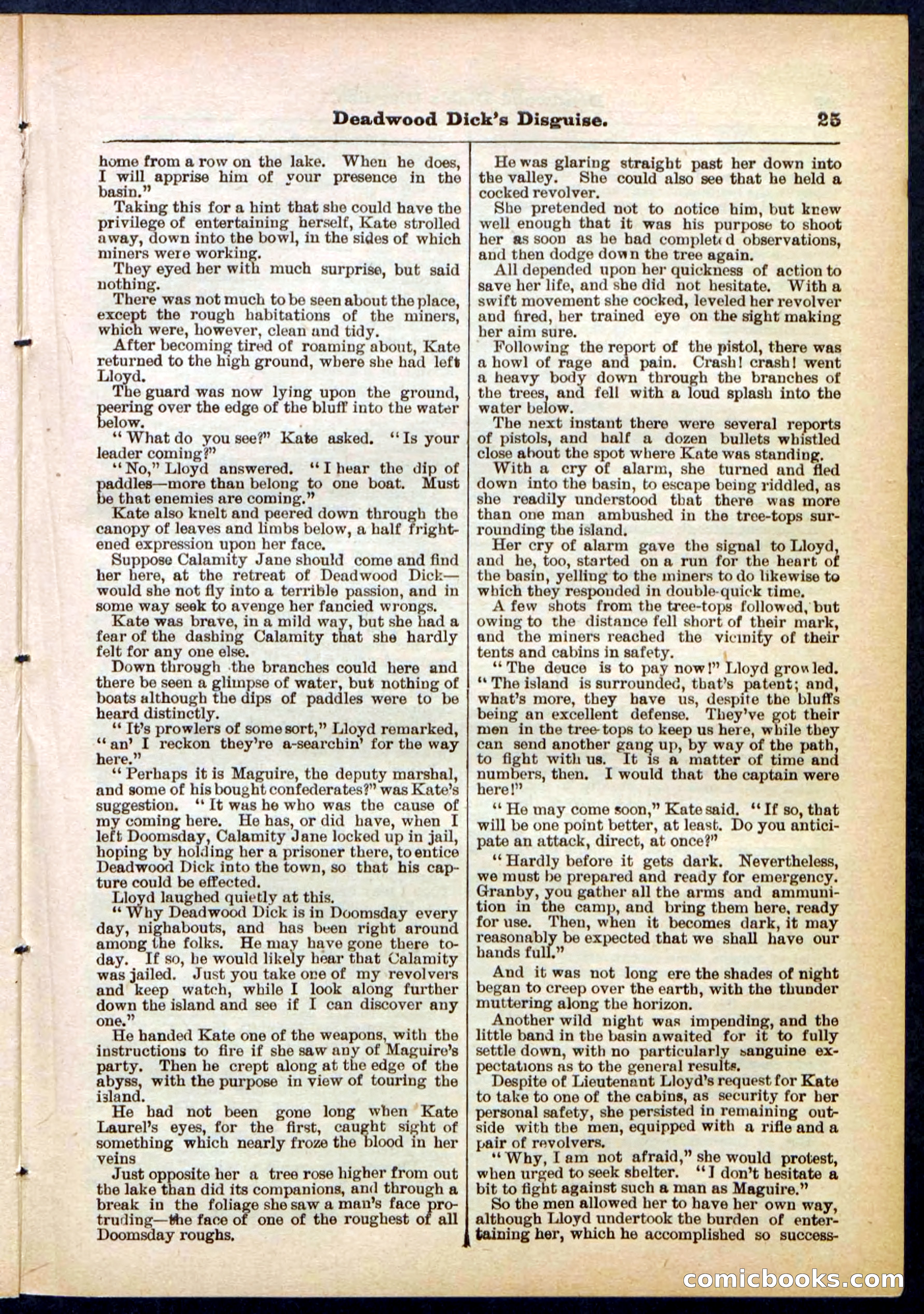Beadle's Pocket Library No. 288 — page 25 of 32