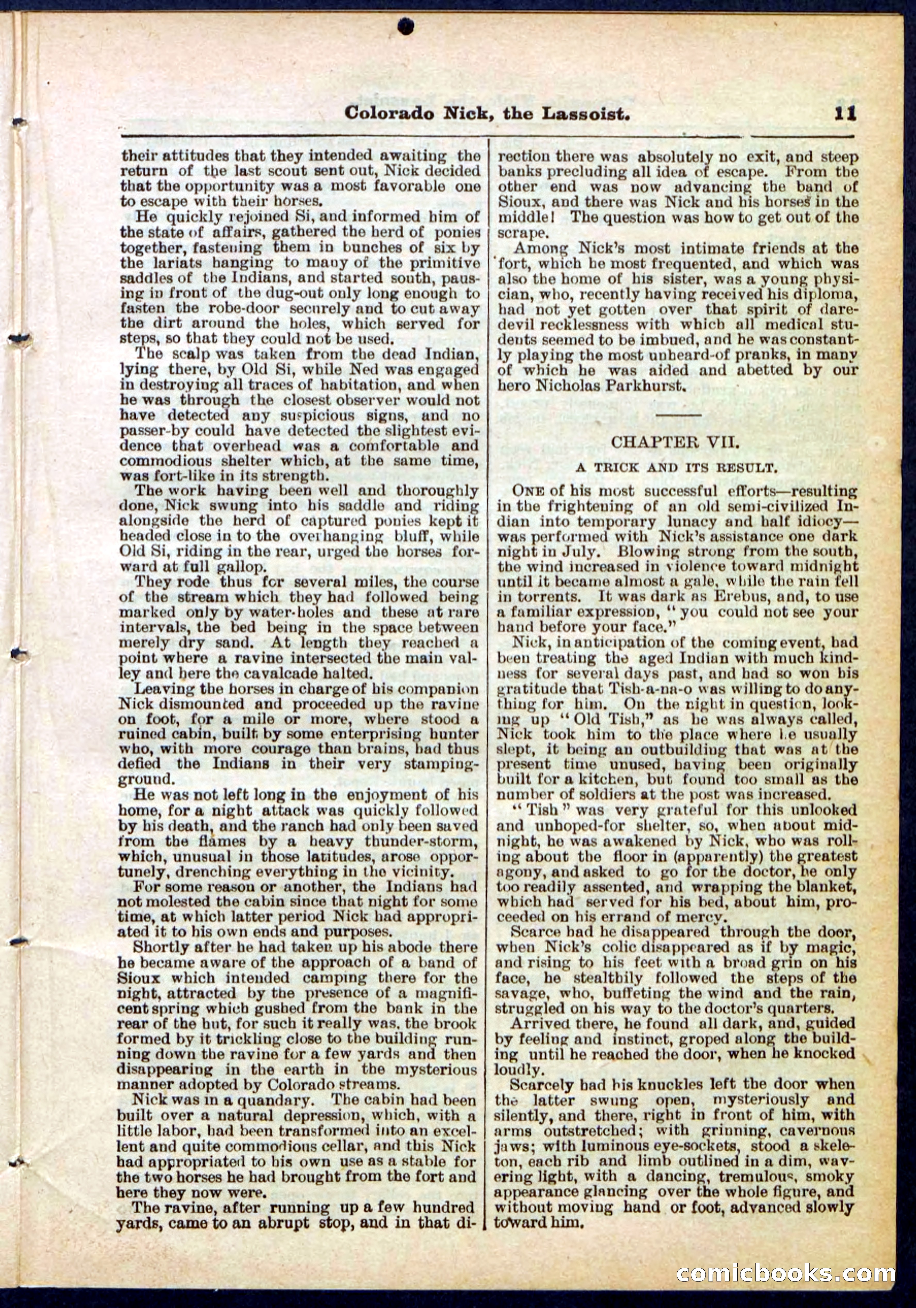 Beadle's Pocket Library No. 289 — page 11 of 32