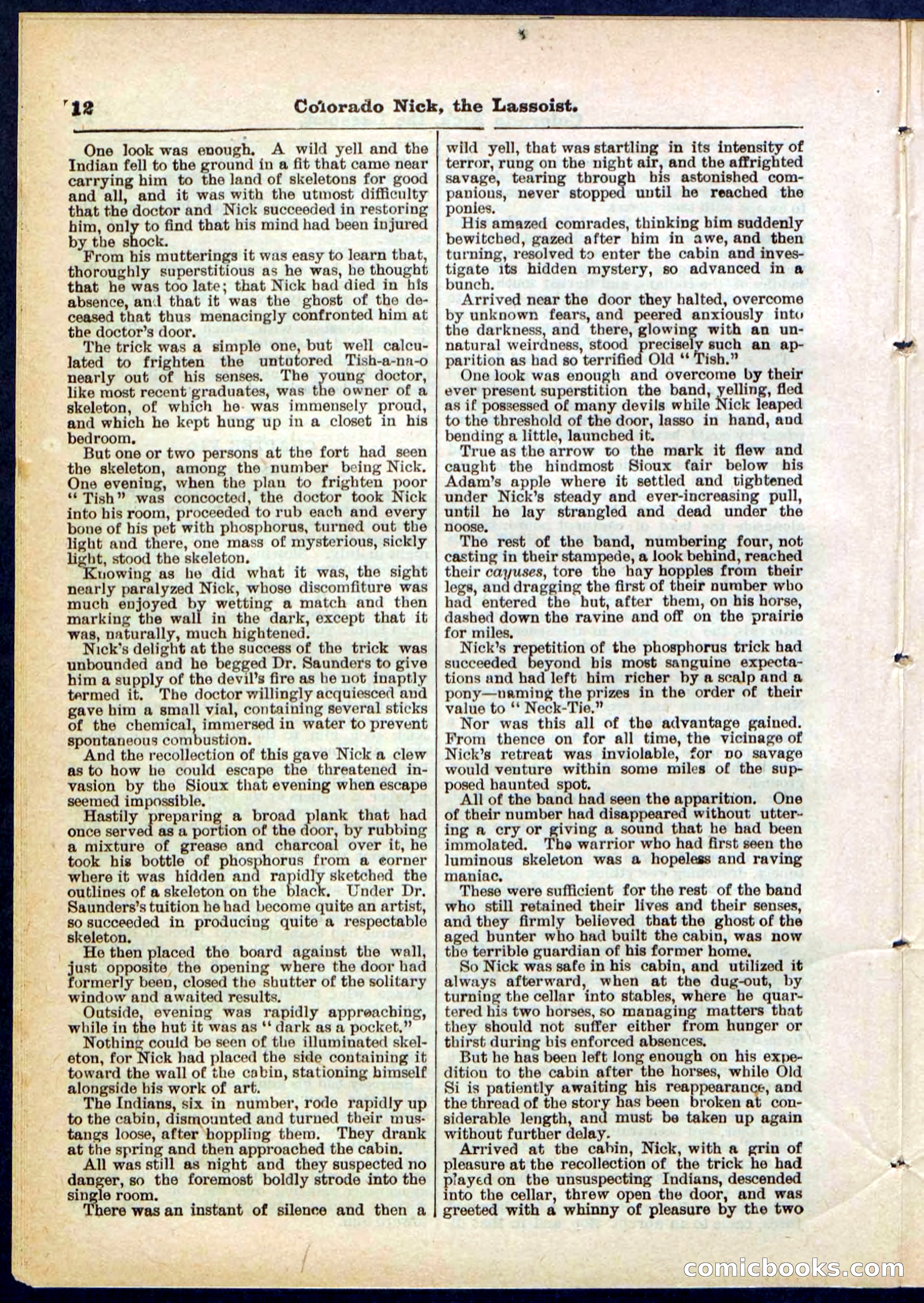 Beadle's Pocket Library No. 289 — page 12 of 32