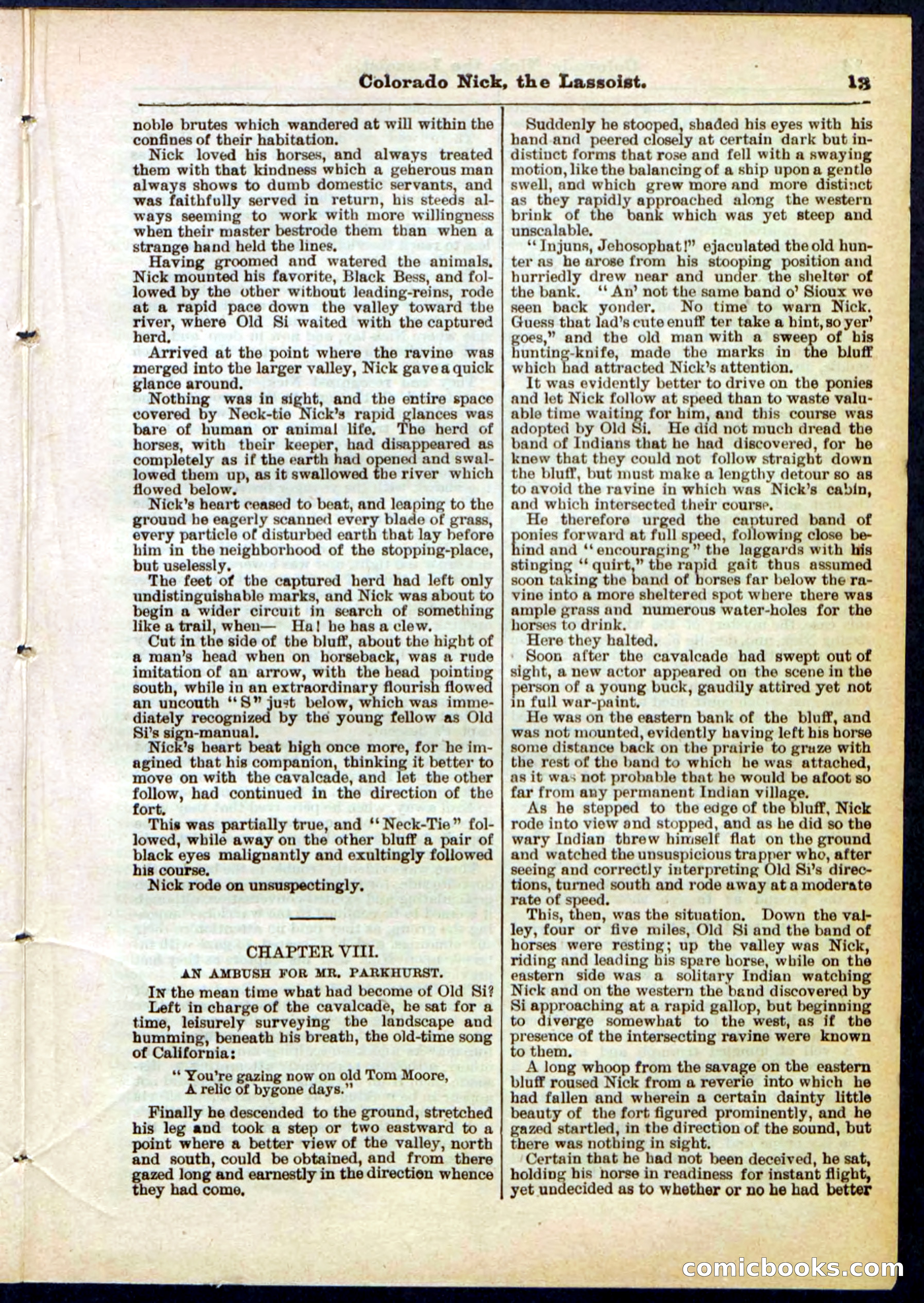 Beadle's Pocket Library No. 289 — page 13 of 32
