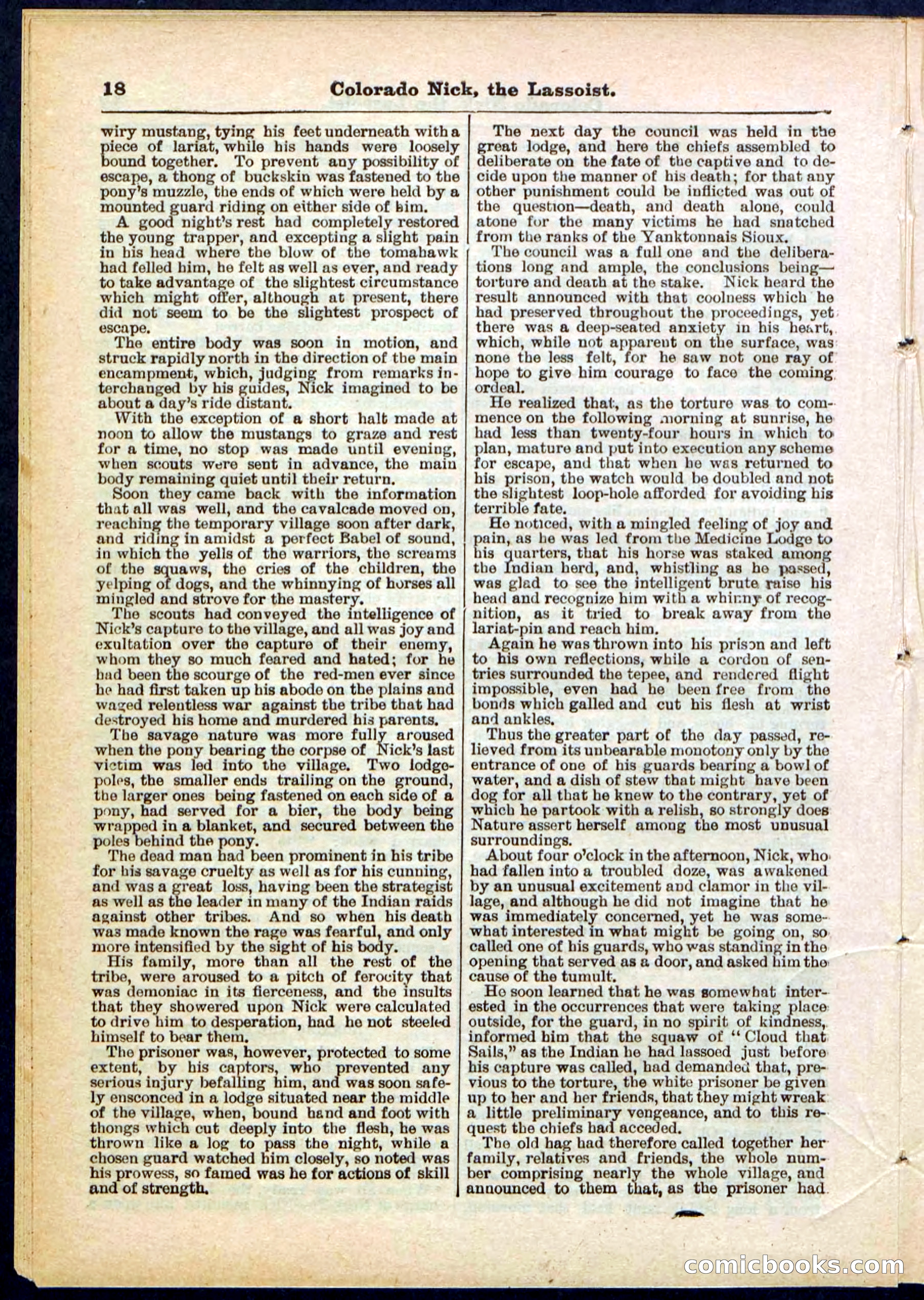 Beadle's Pocket Library No. 289 — page 18 of 32