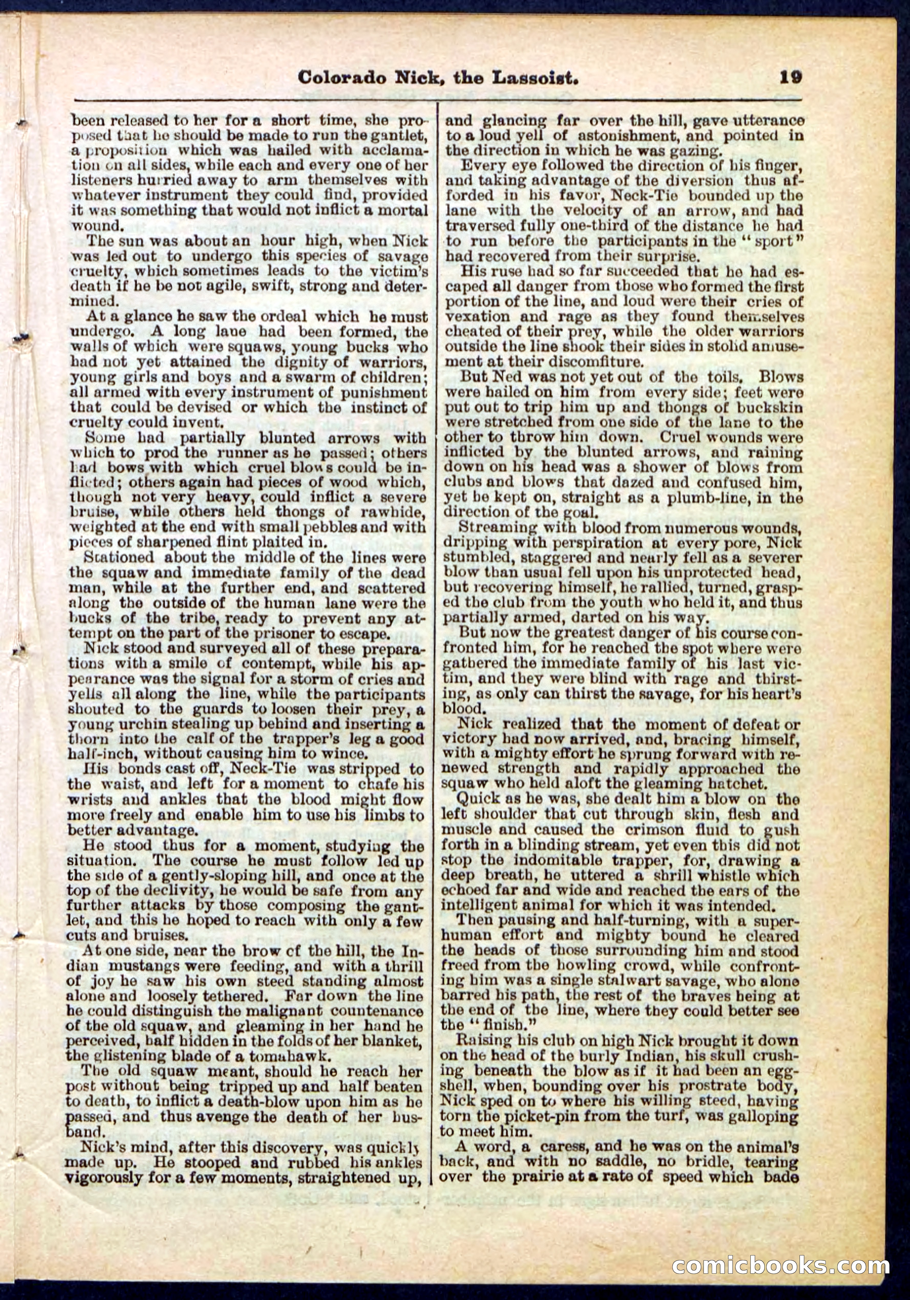 Beadle's Pocket Library No. 289 — page 19 of 32