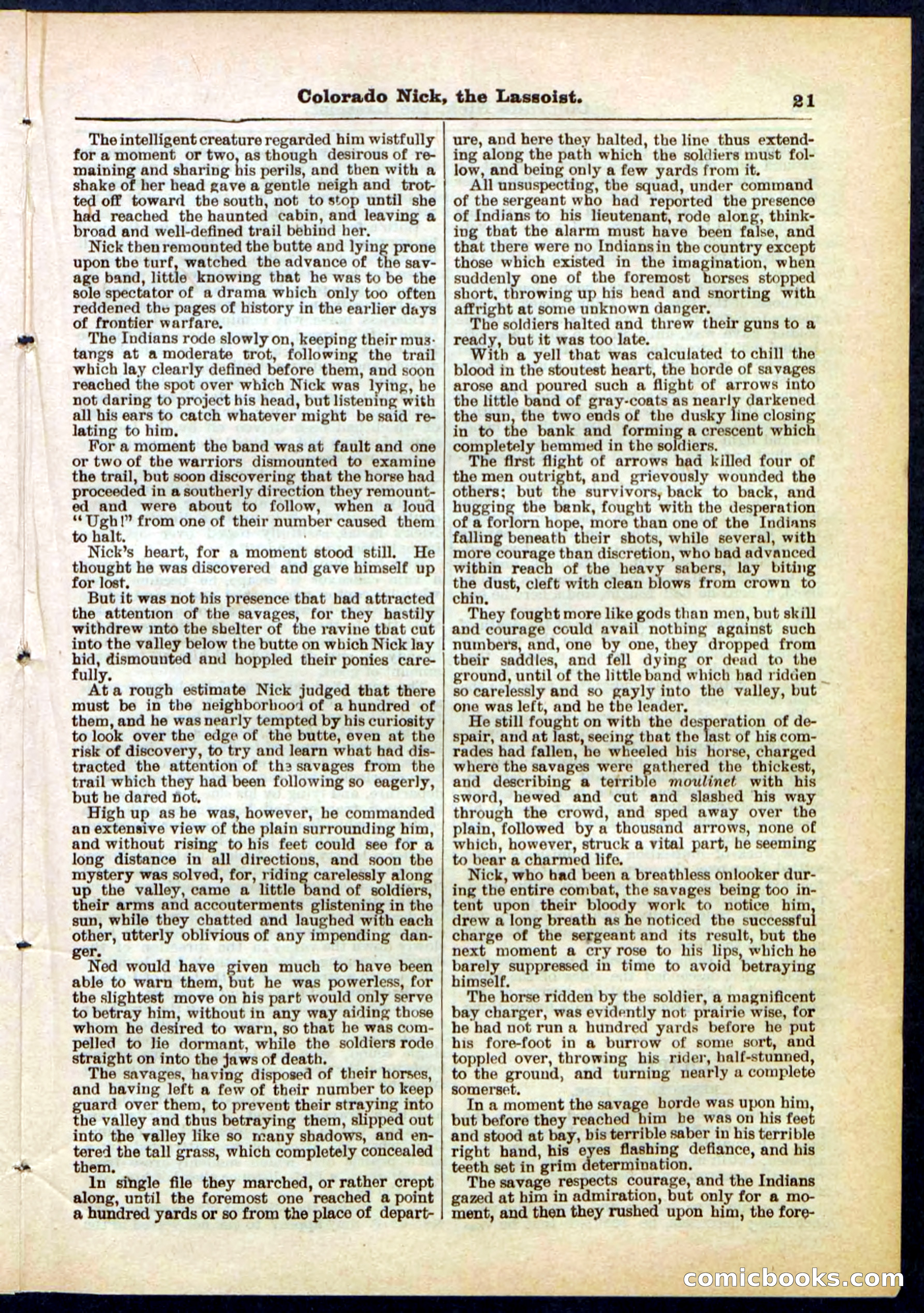 Beadle's Pocket Library No. 289 — page 21 of 32