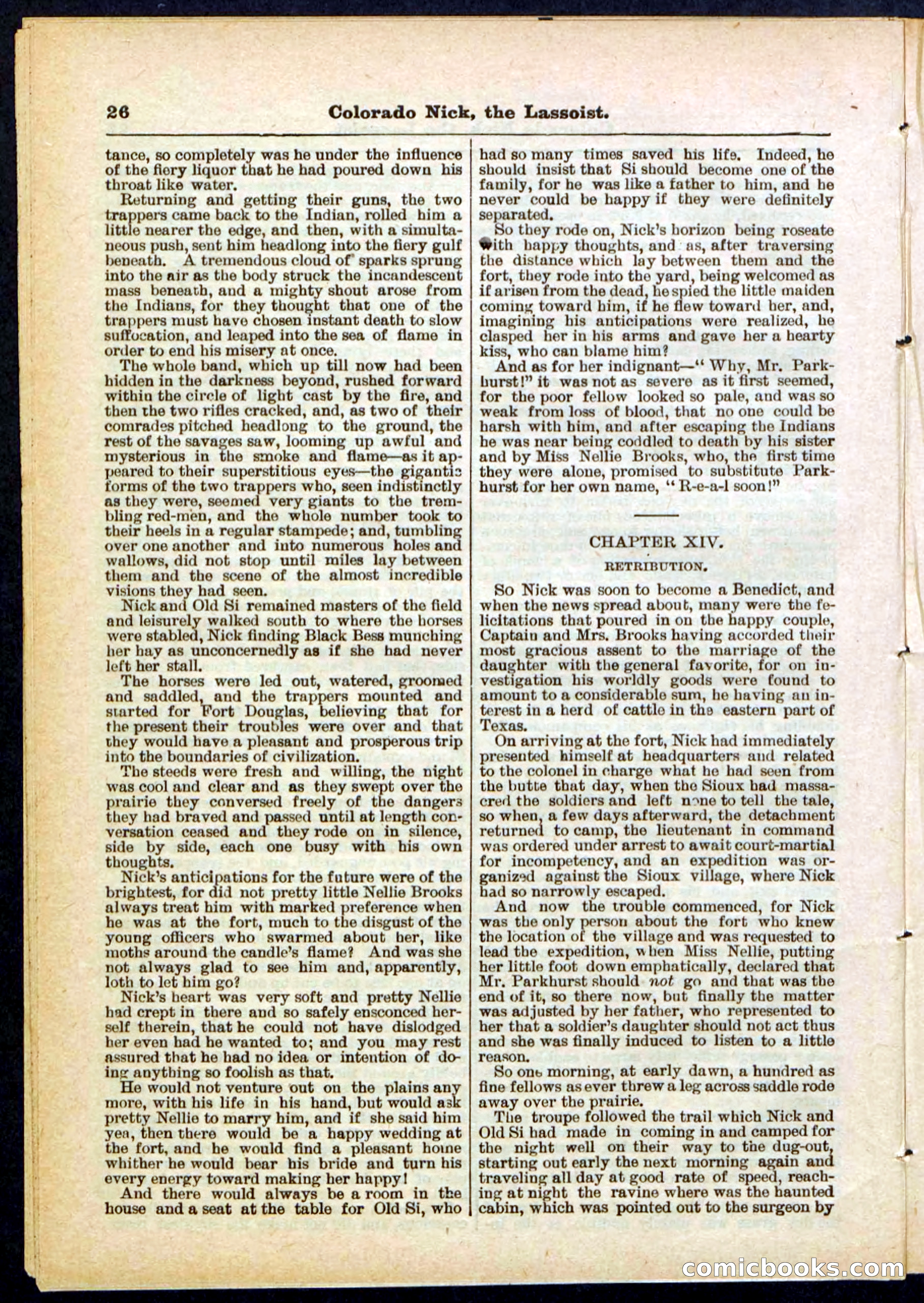 Beadle's Pocket Library No. 289 — page 26 of 32