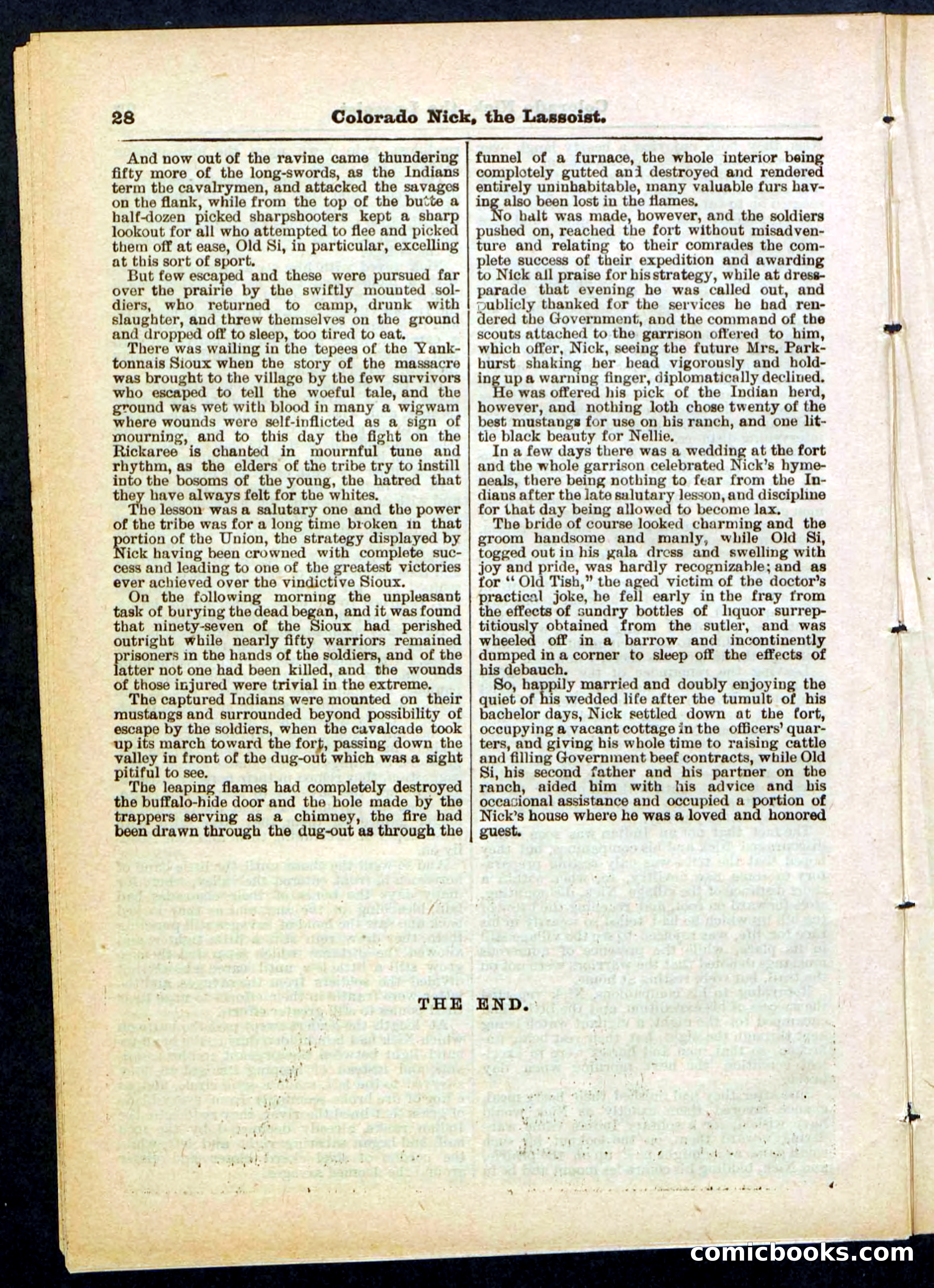Beadle's Pocket Library No. 289 — page 28 of 32