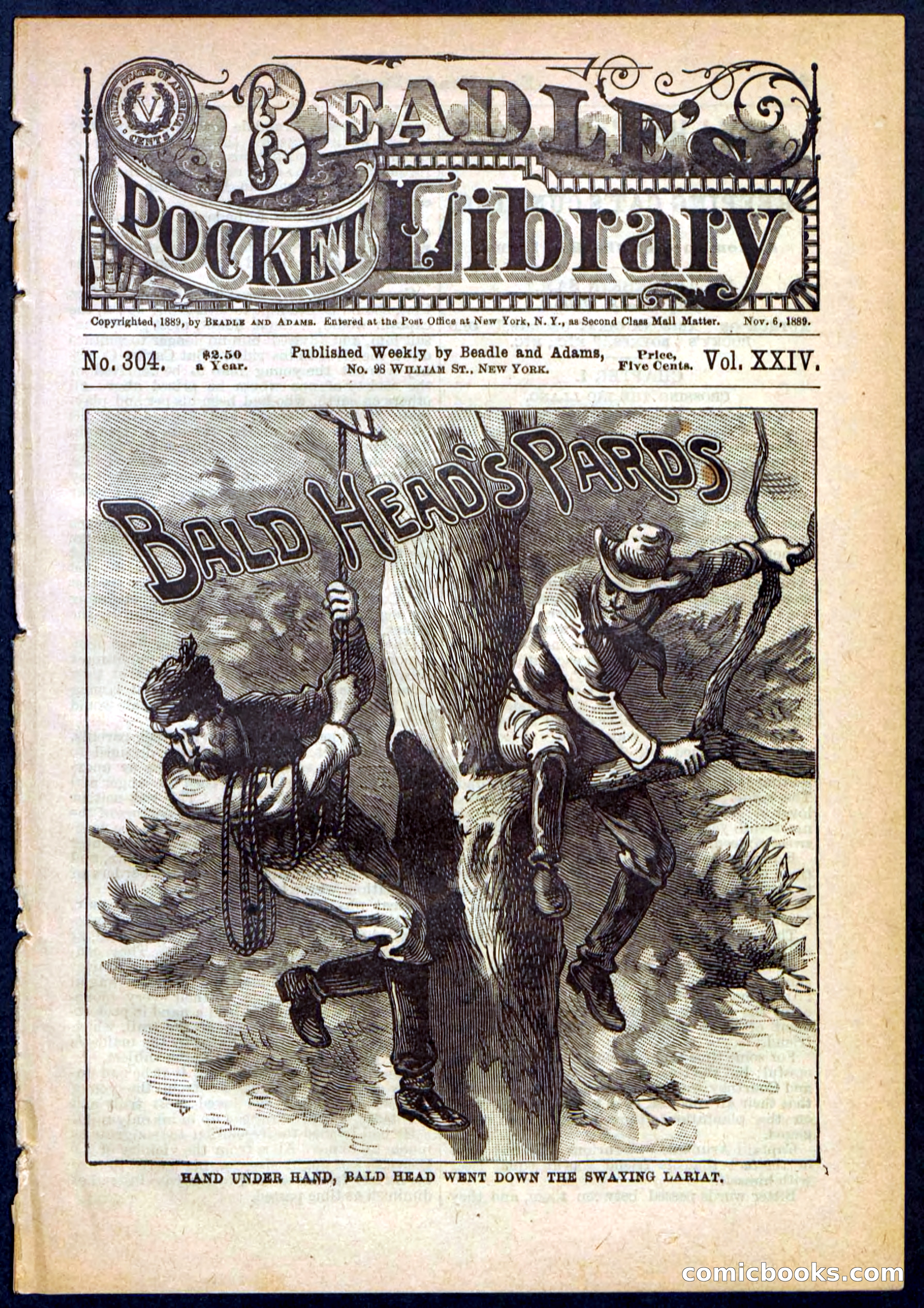 Beadle's Pocket Library No. 304 — page 1 of 48