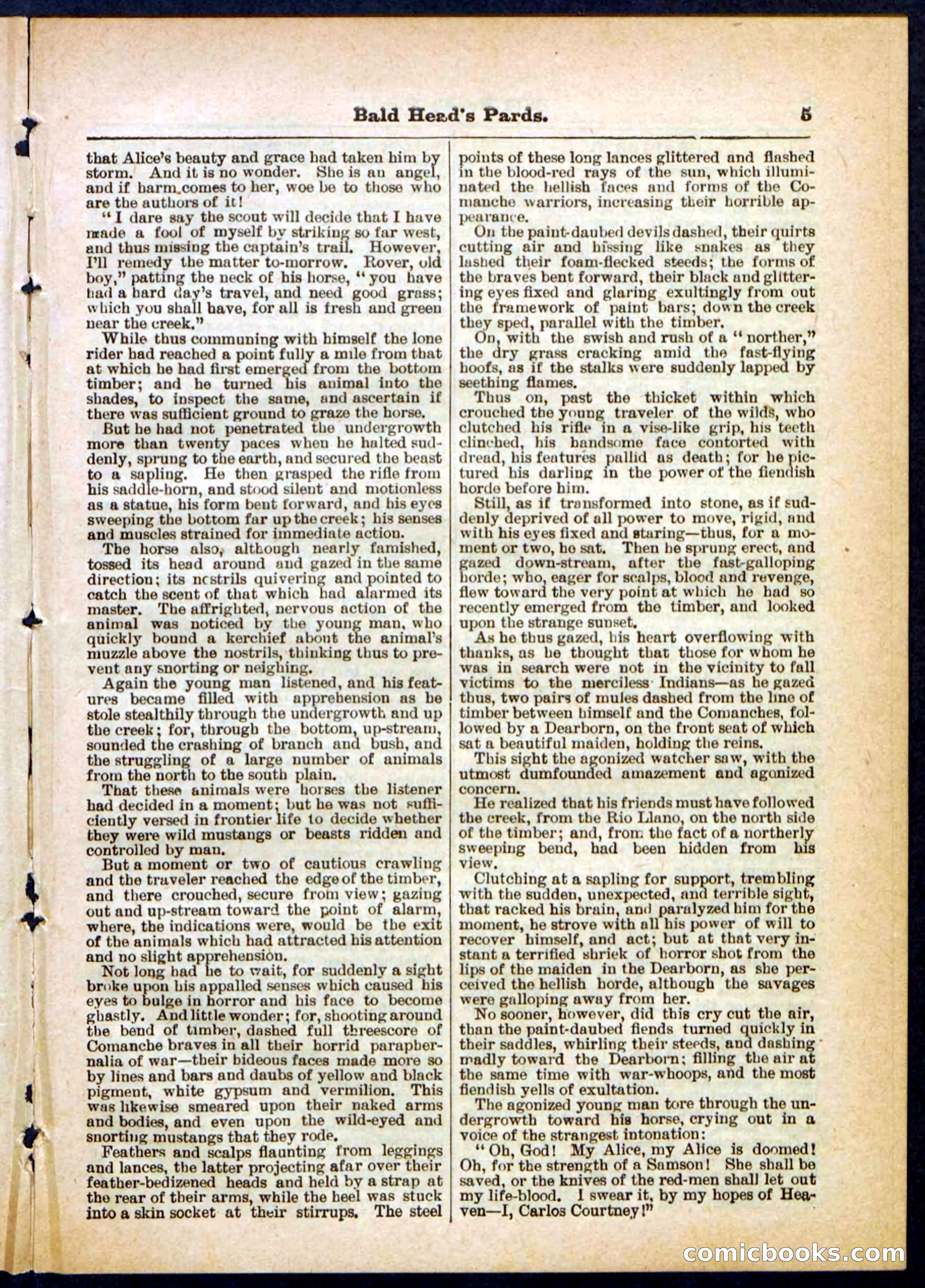 Beadle's Pocket Library No. 304 — page 5 of 48