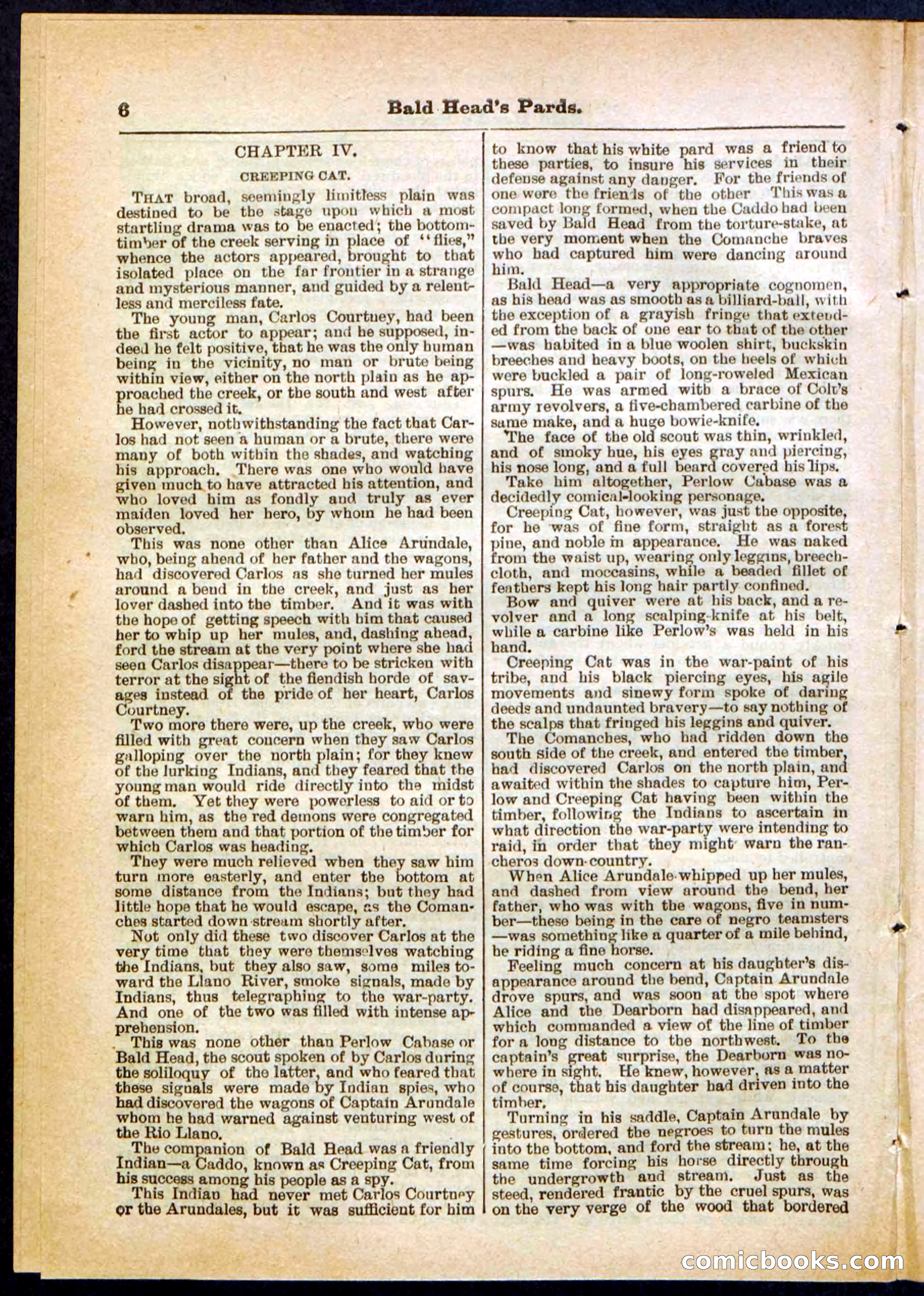 Beadle's Pocket Library No. 304 — page 6 of 48