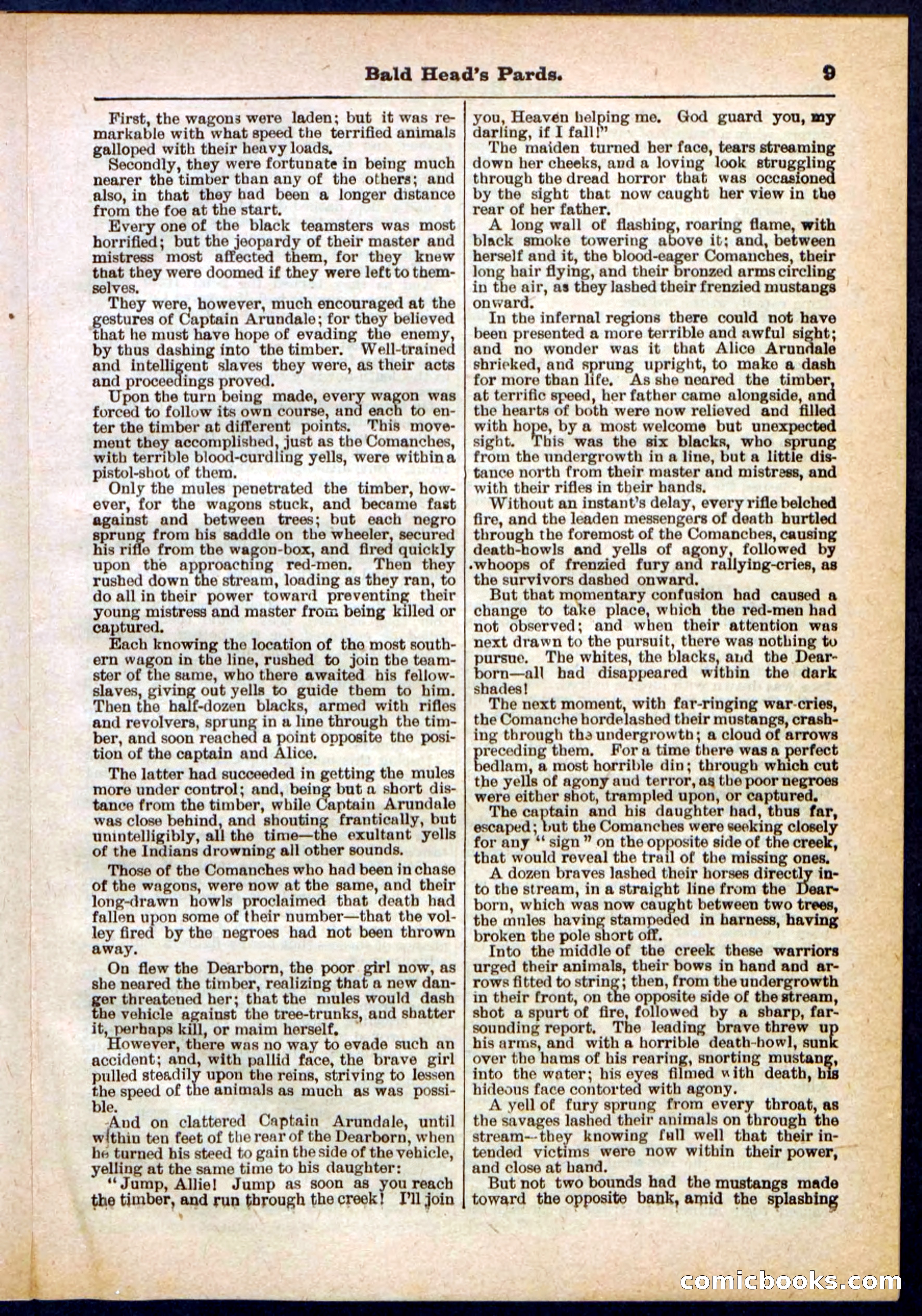 Beadle's Pocket Library No. 304 — page 9 of 48