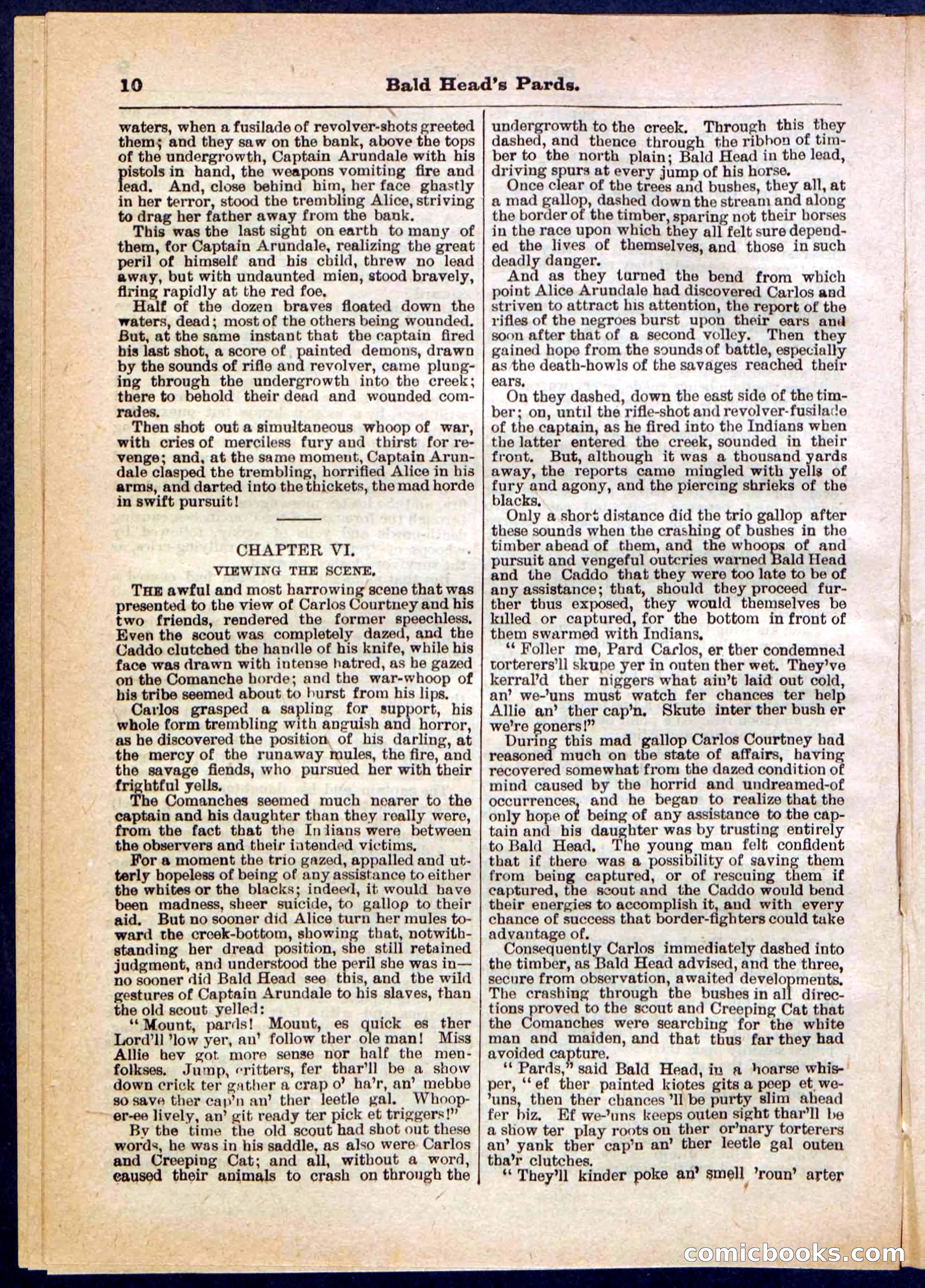 Beadle's Pocket Library No. 304 — page 10 of 48