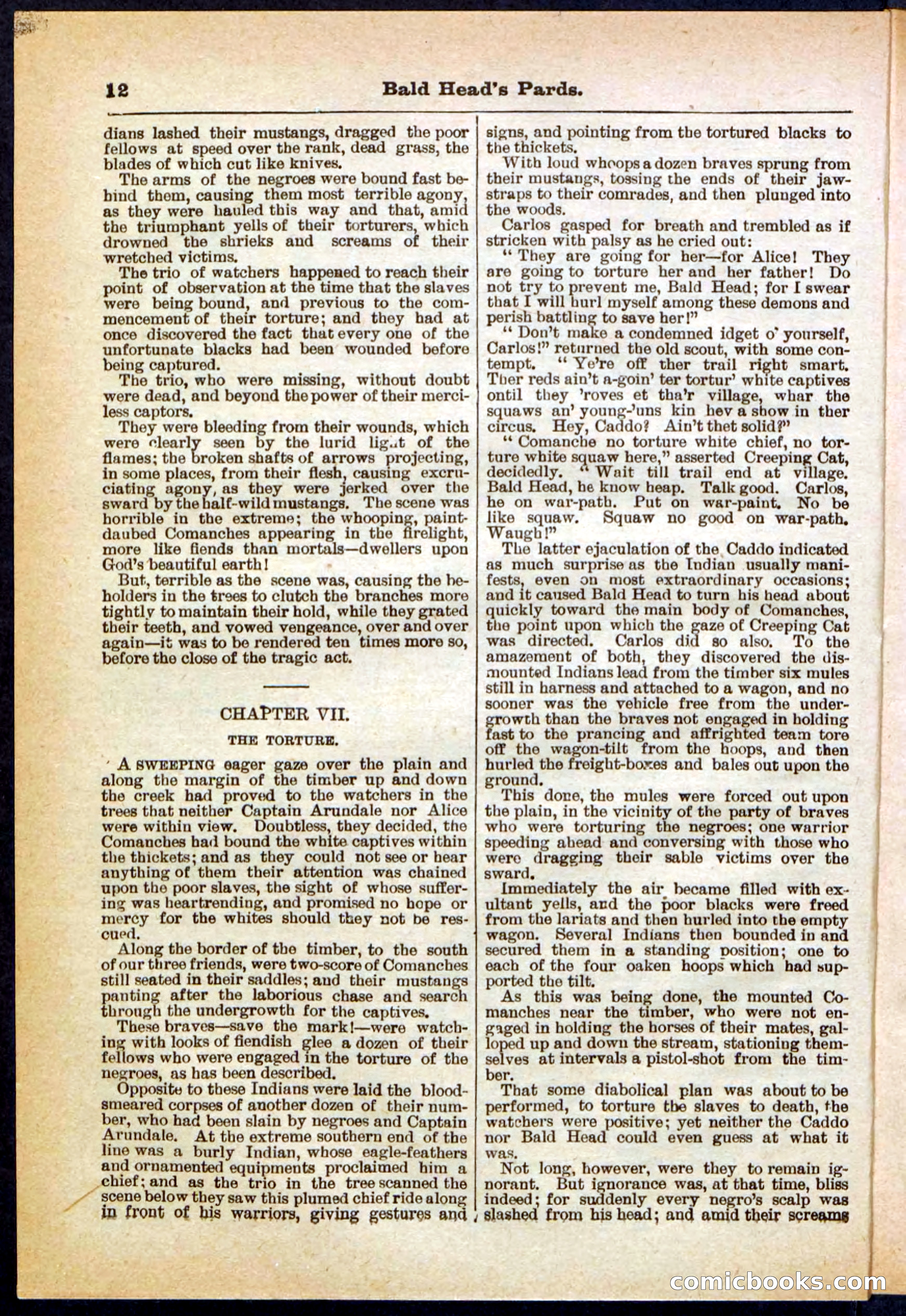 Beadle's Pocket Library No. 304 — page 12 of 48