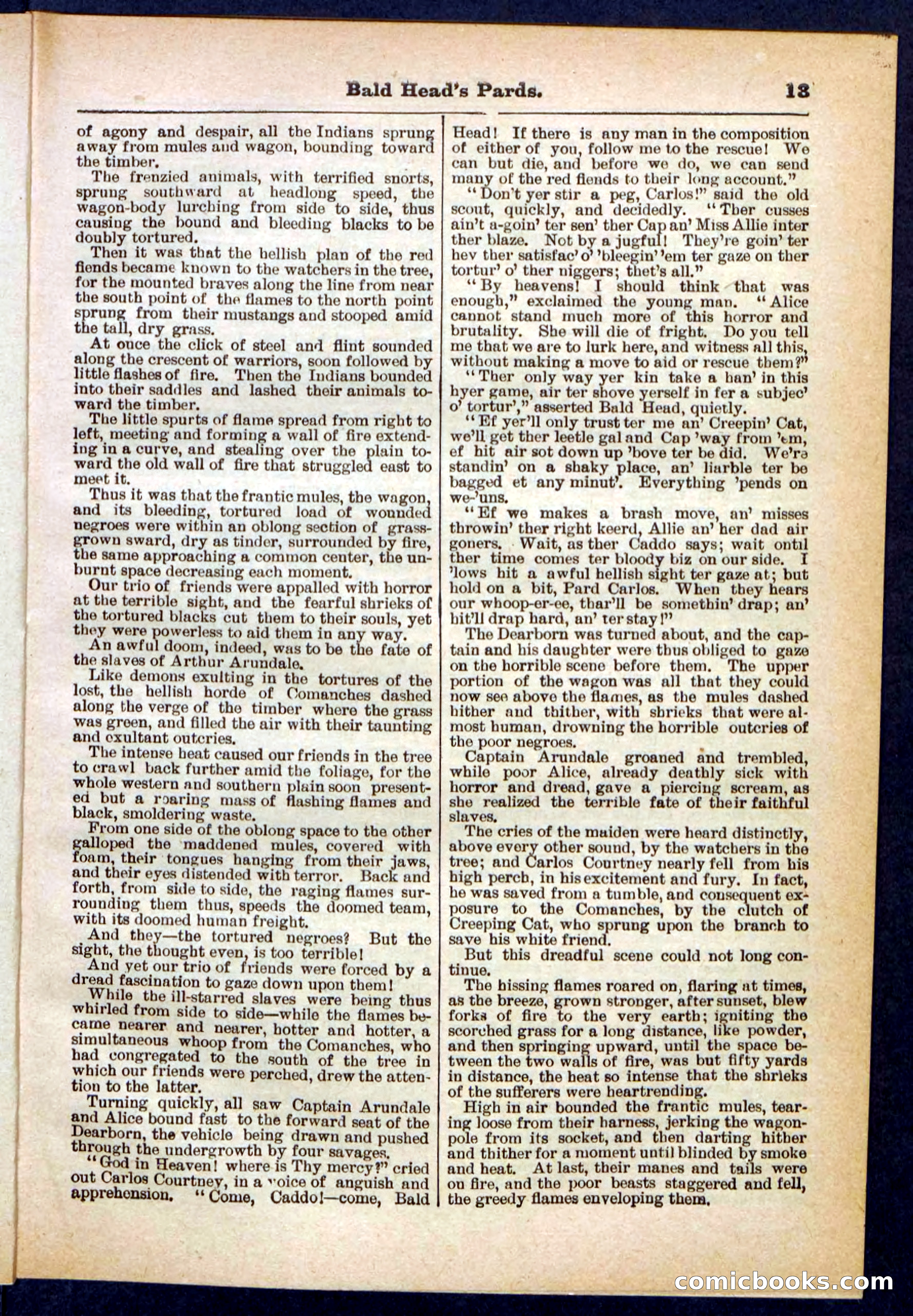 Beadle's Pocket Library No. 304 — page 13 of 48