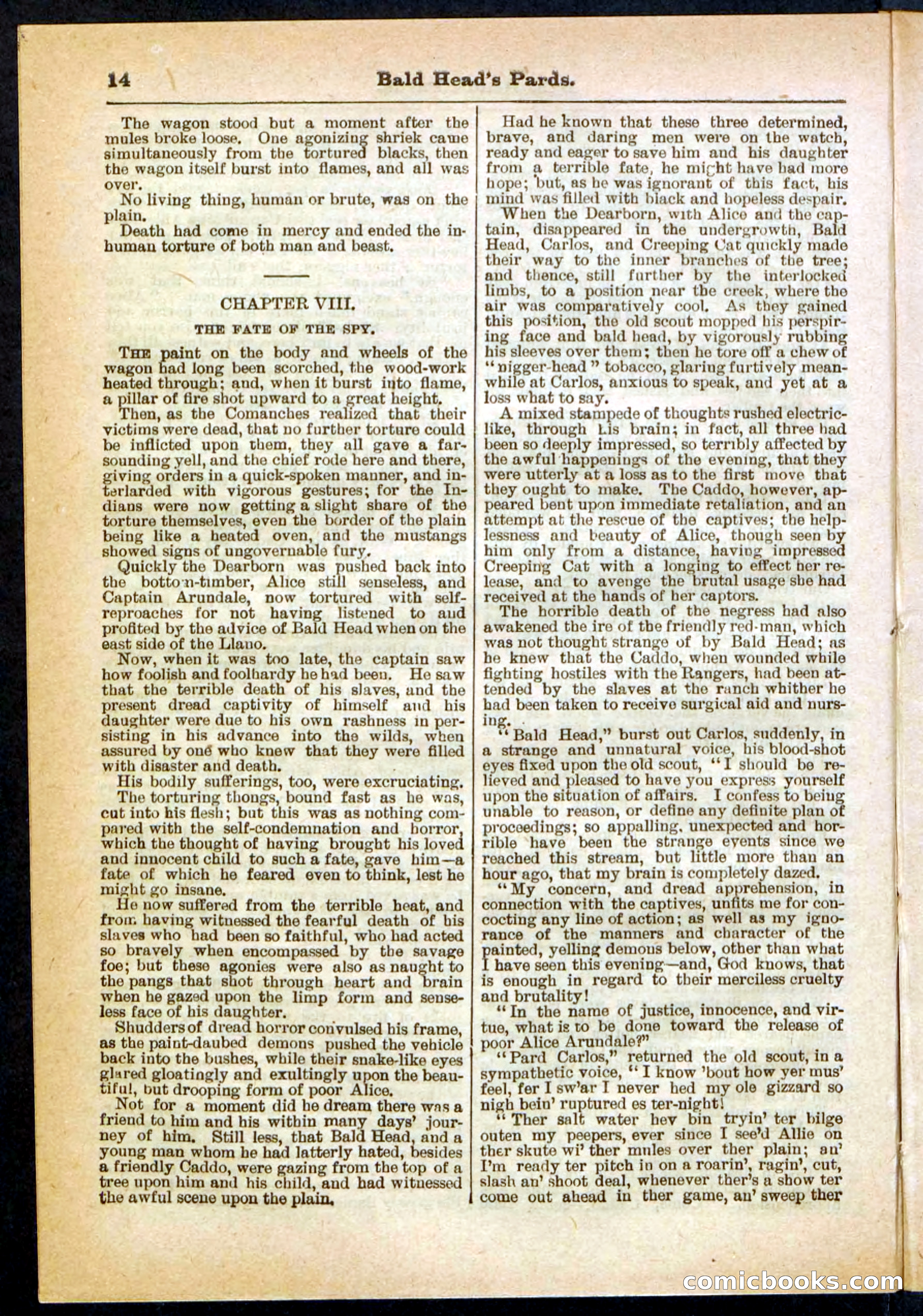 Beadle's Pocket Library No. 304 — page 14 of 48