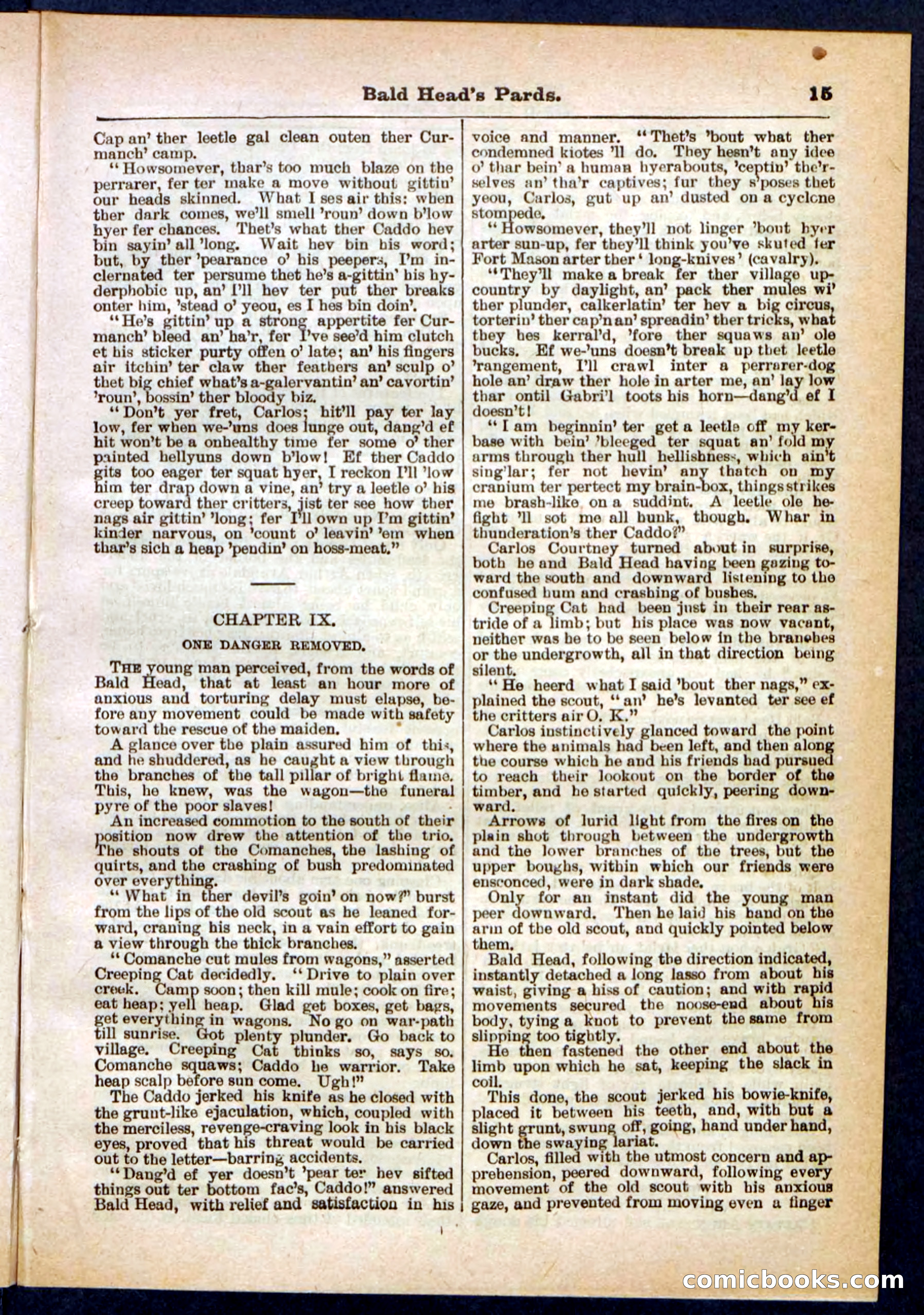 Beadle's Pocket Library No. 304 — page 15 of 48