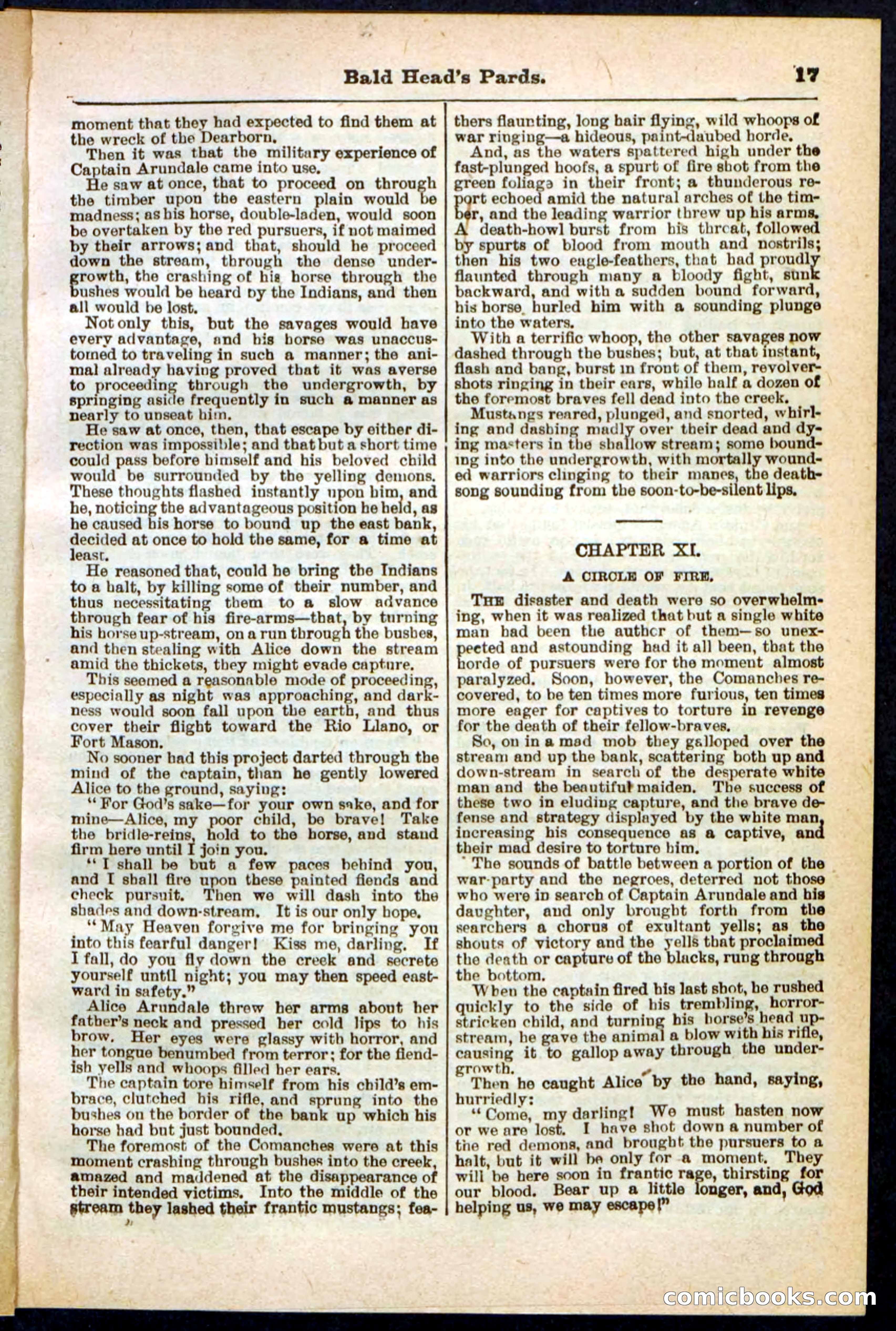 Beadle's Pocket Library No. 304 — page 17 of 48