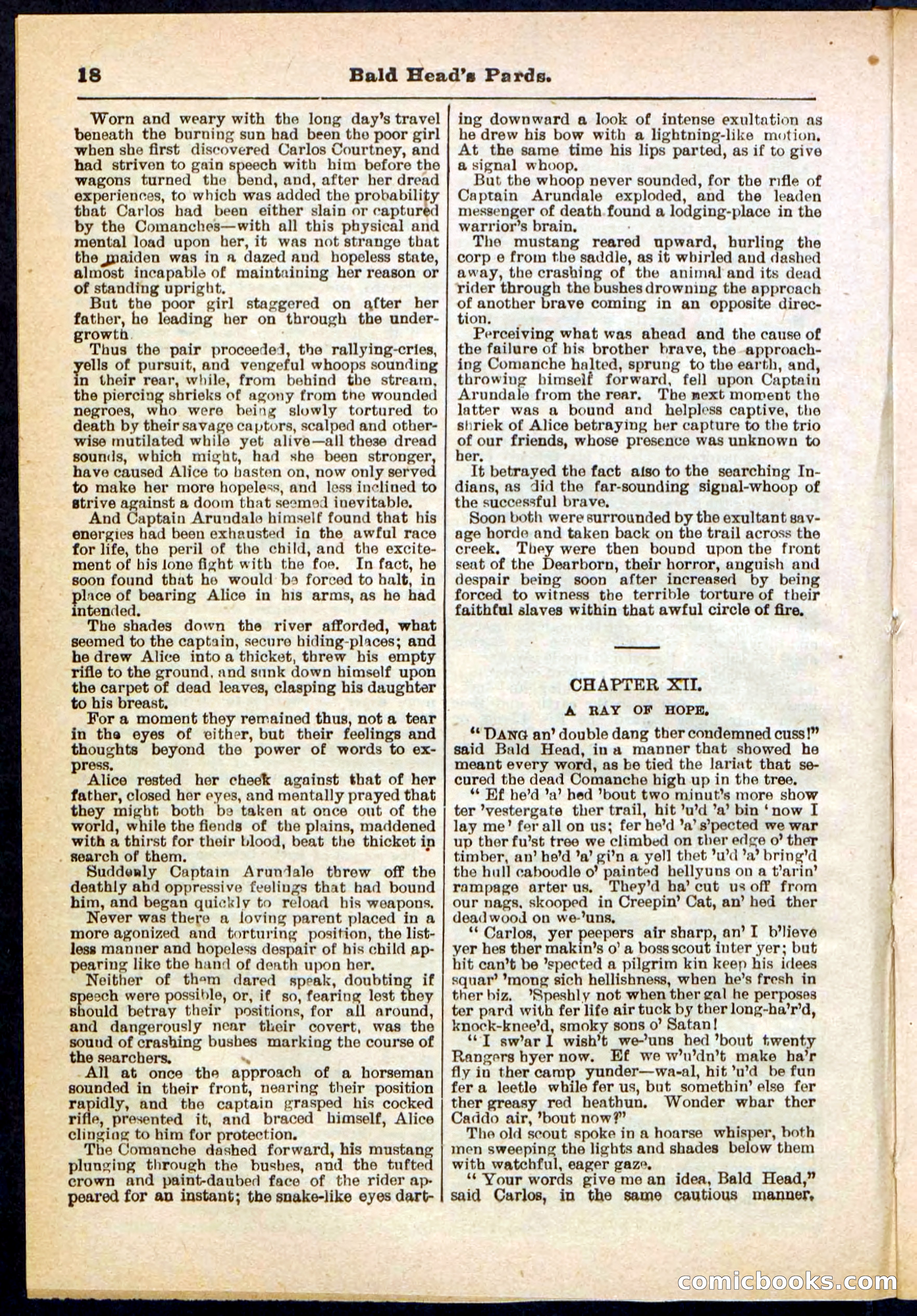 Beadle's Pocket Library No. 304 — page 18 of 48