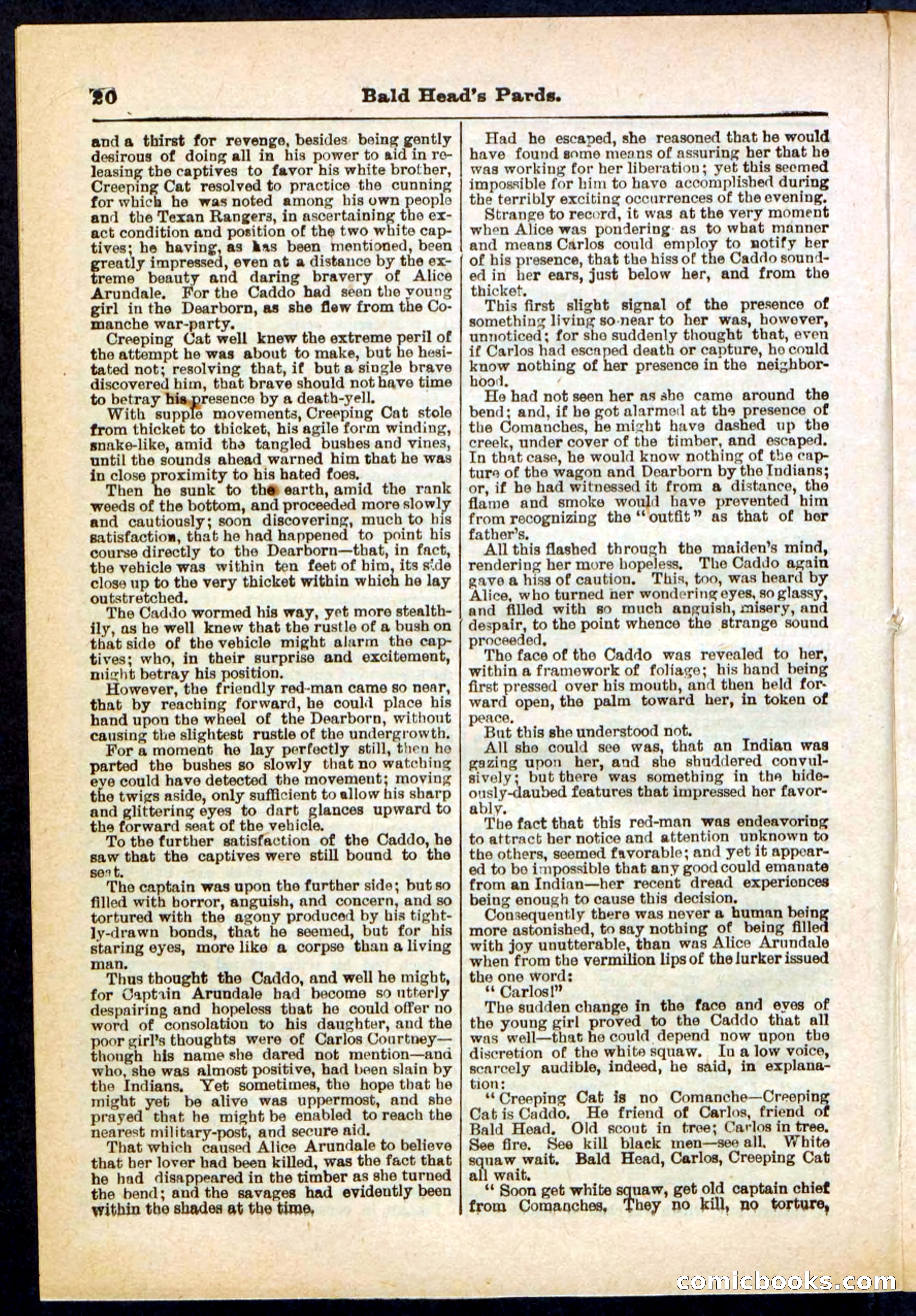 Beadle's Pocket Library No. 304 — page 20 of 48