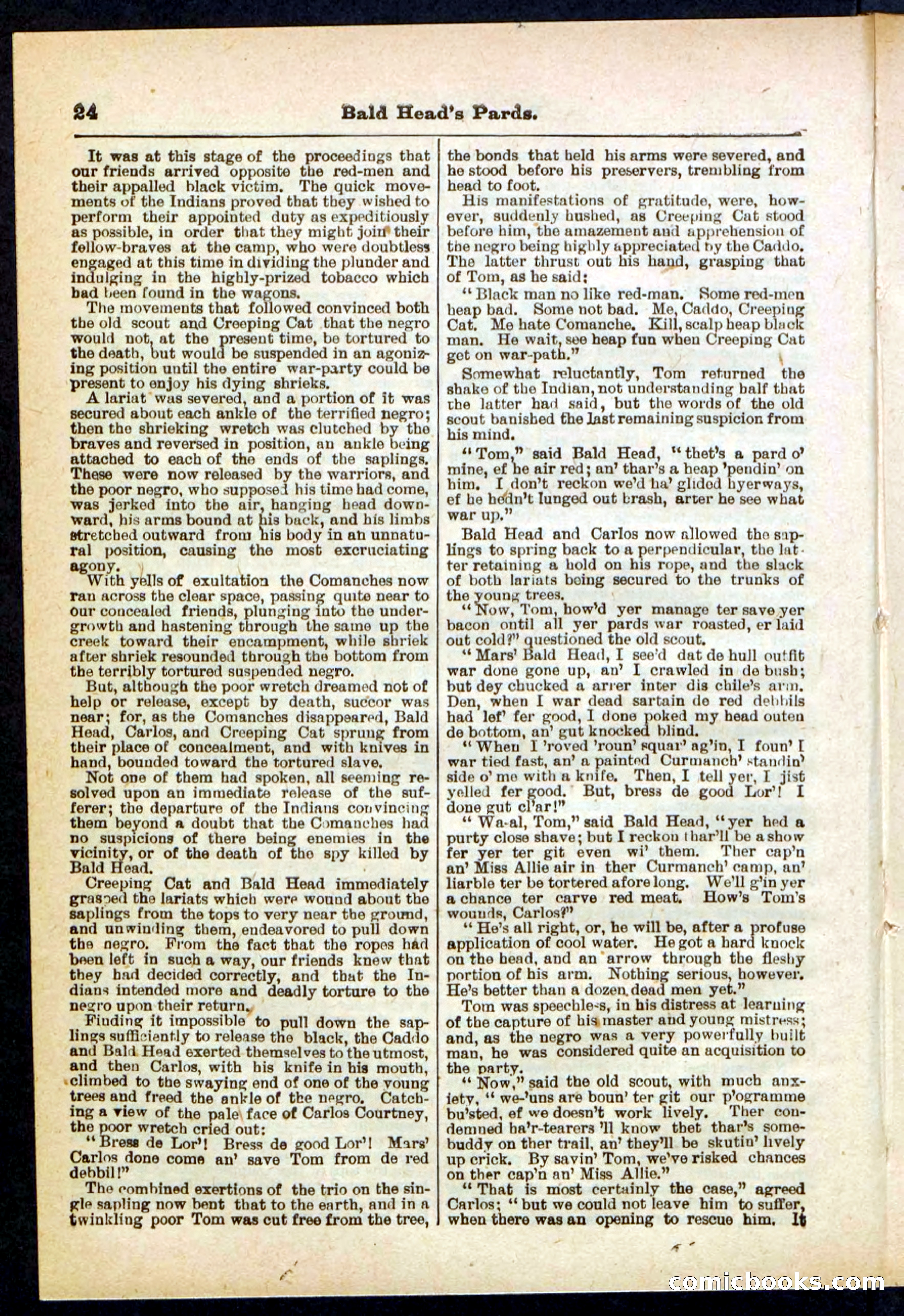 Beadle's Pocket Library No. 304 — page 24 of 48