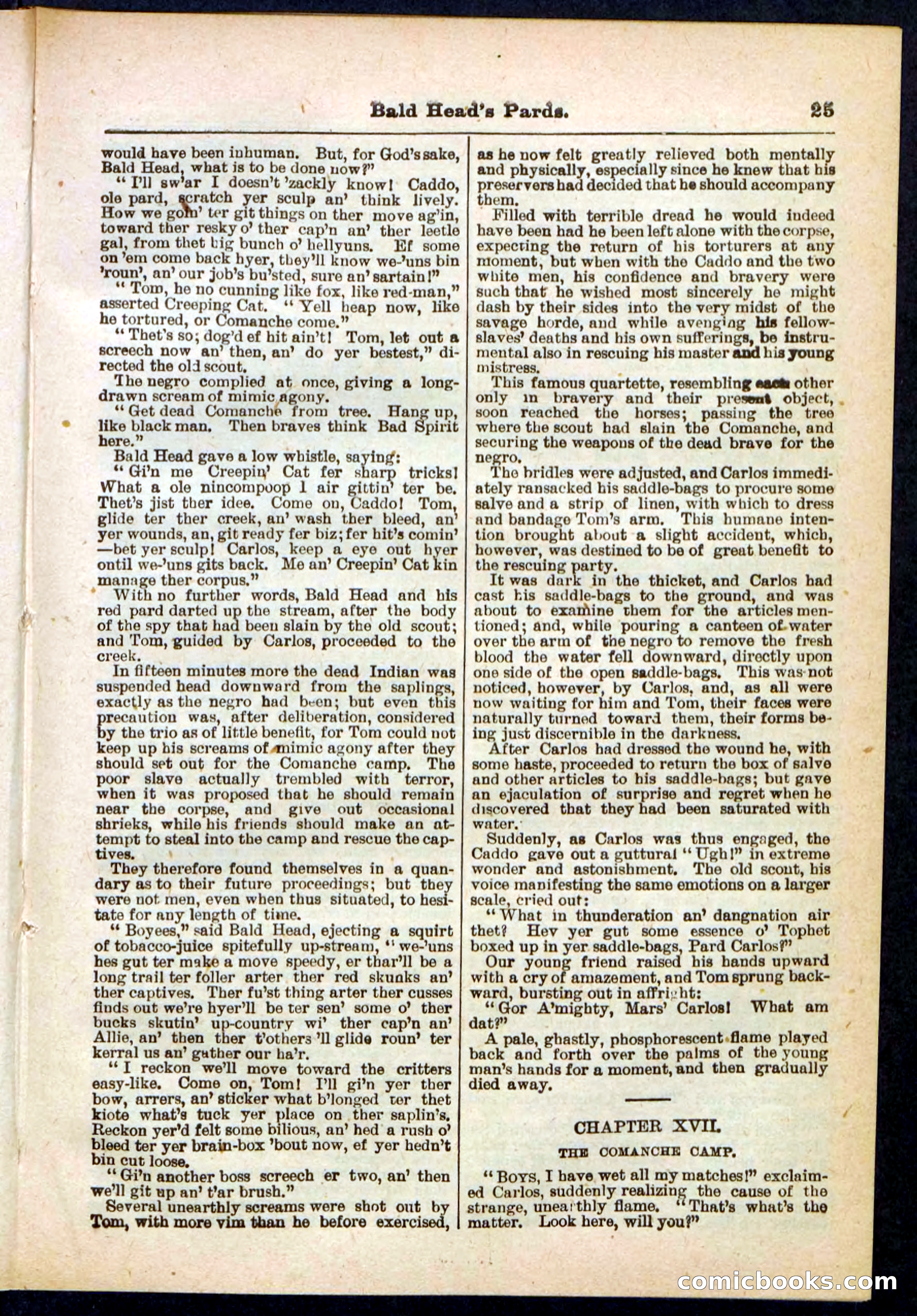Beadle's Pocket Library No. 304 — page 25 of 48