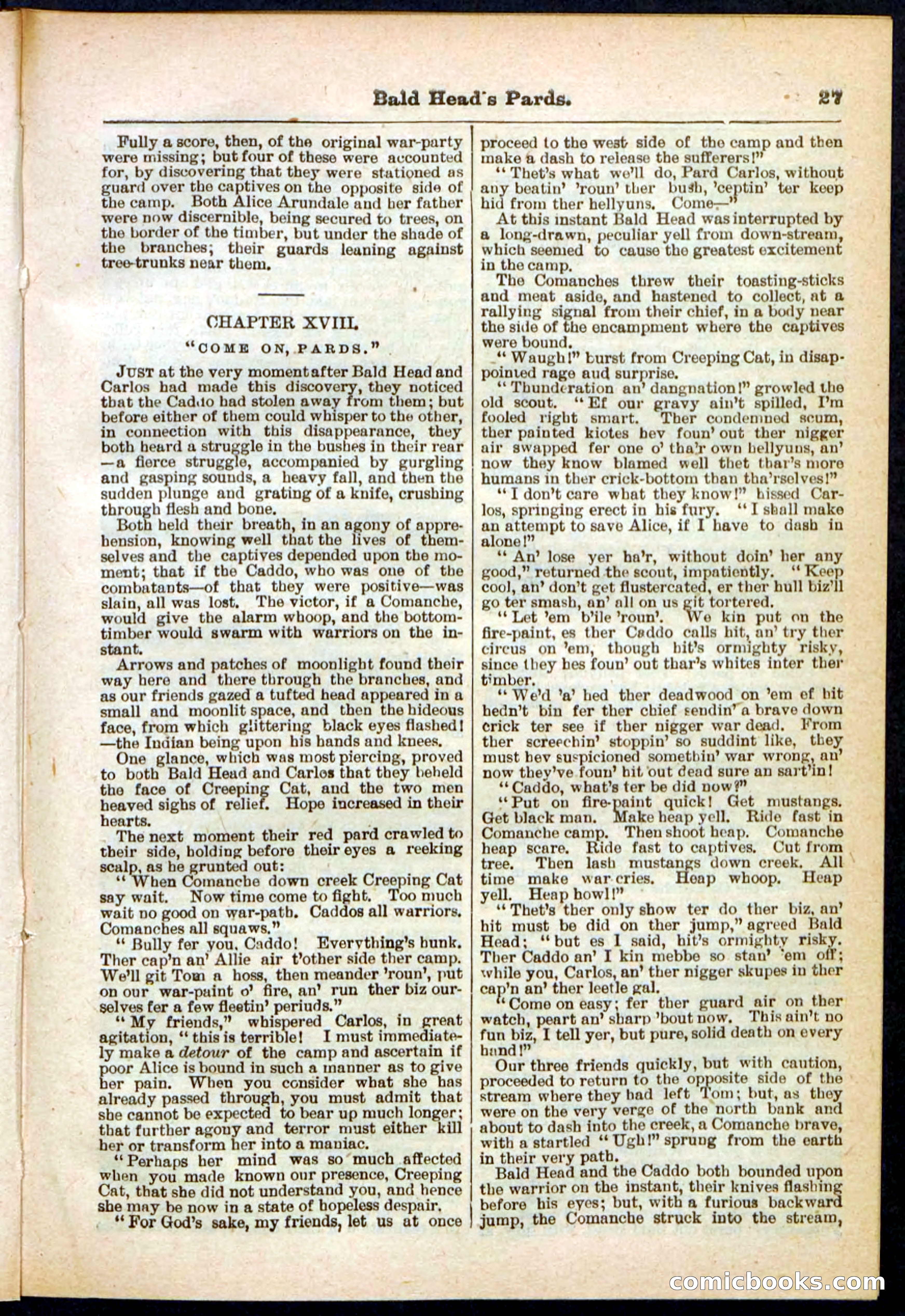 Beadle's Pocket Library No. 304 — page 27 of 48