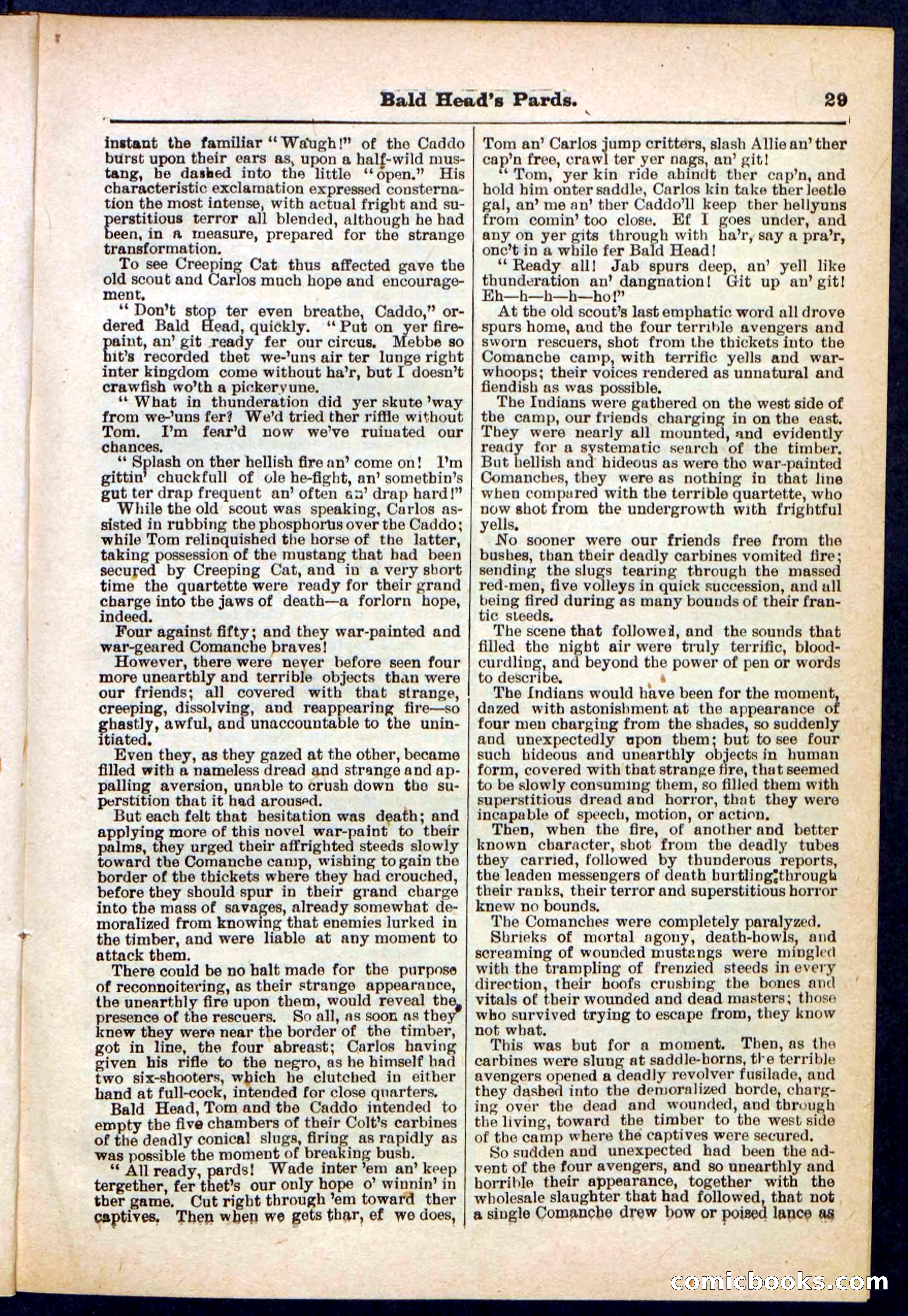 Beadle's Pocket Library No. 304 — page 29 of 48